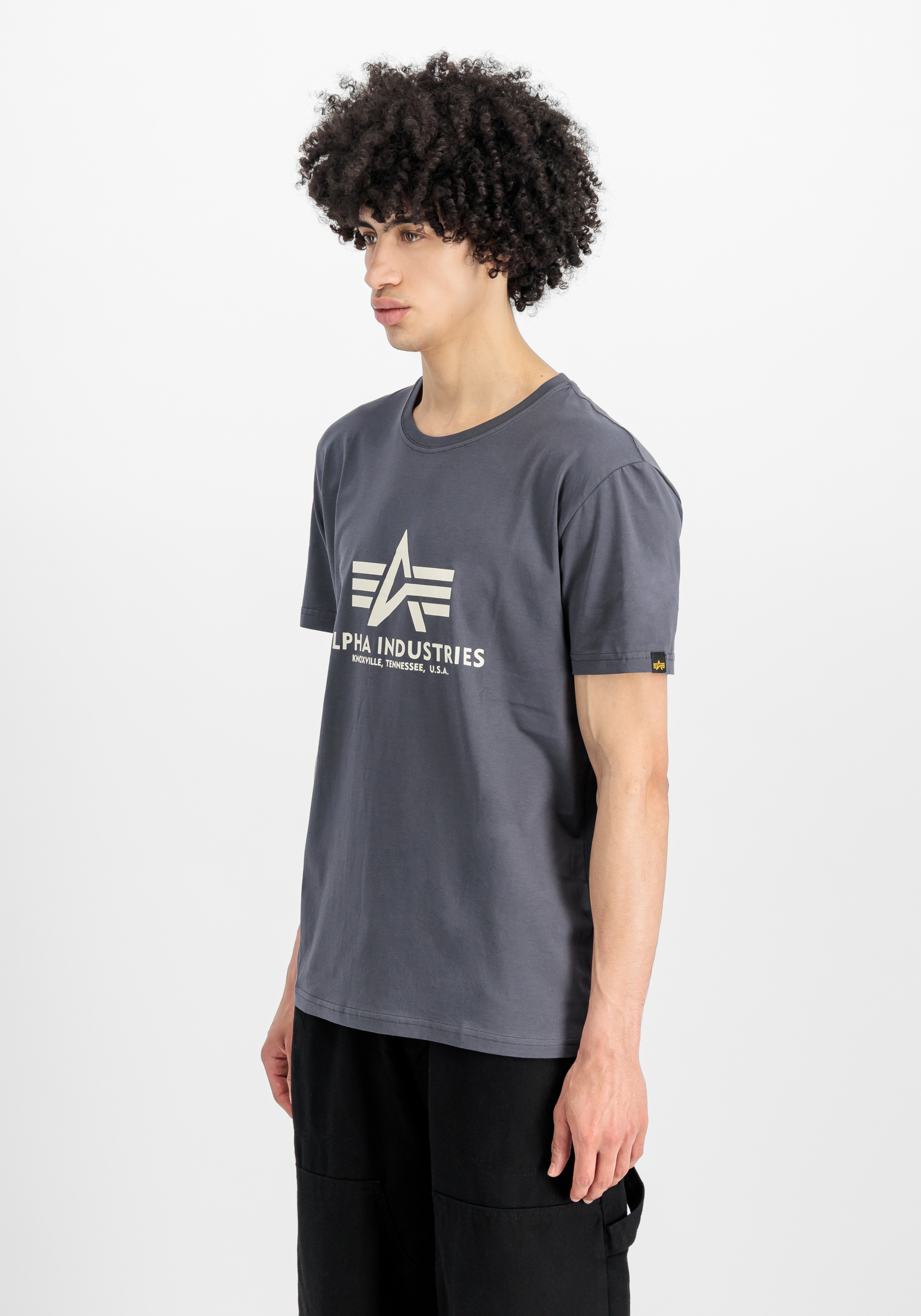 Alpha Industries T-Shirt »Alpha Industries Men - T-Shirts Basic T-Shirt BL 2 Pack«