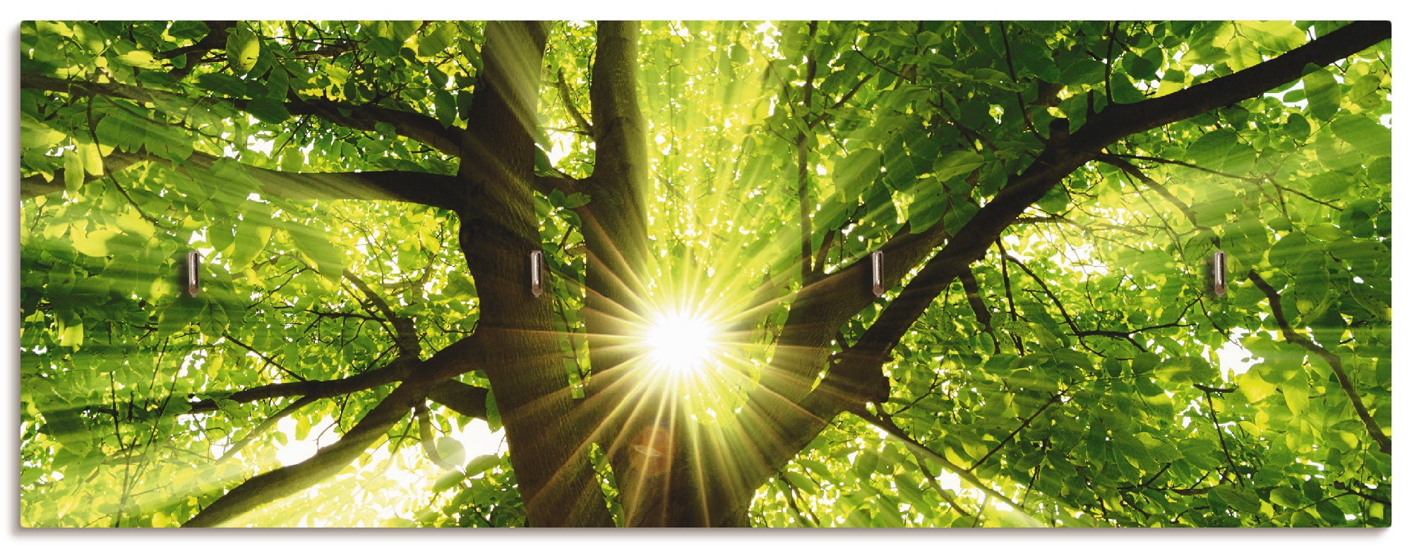 Artland Hakenleiste »Sonne strahlt explosiv durch den Baum«, MDF