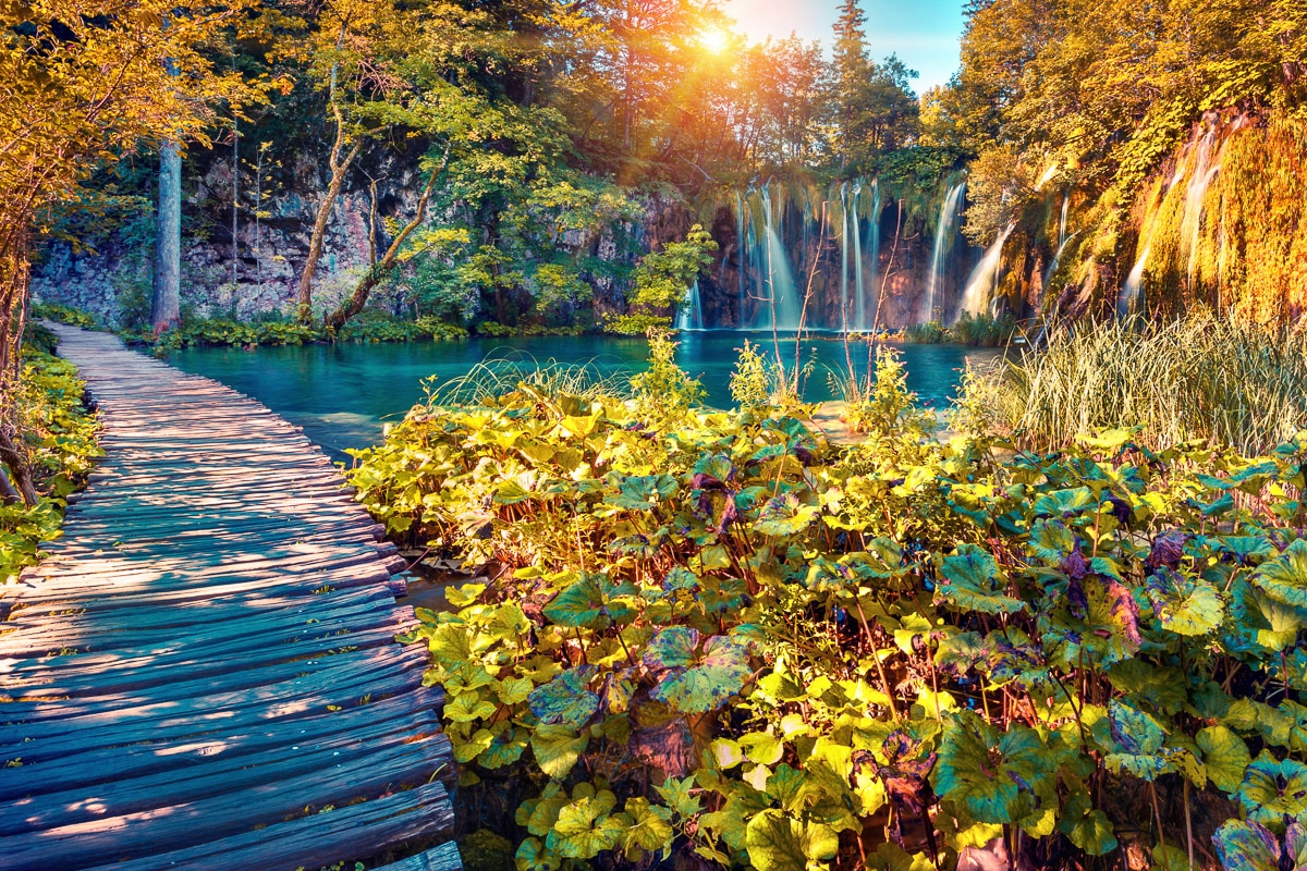 Papermoon Fototapete »Kirschblüten mit Fluss«
