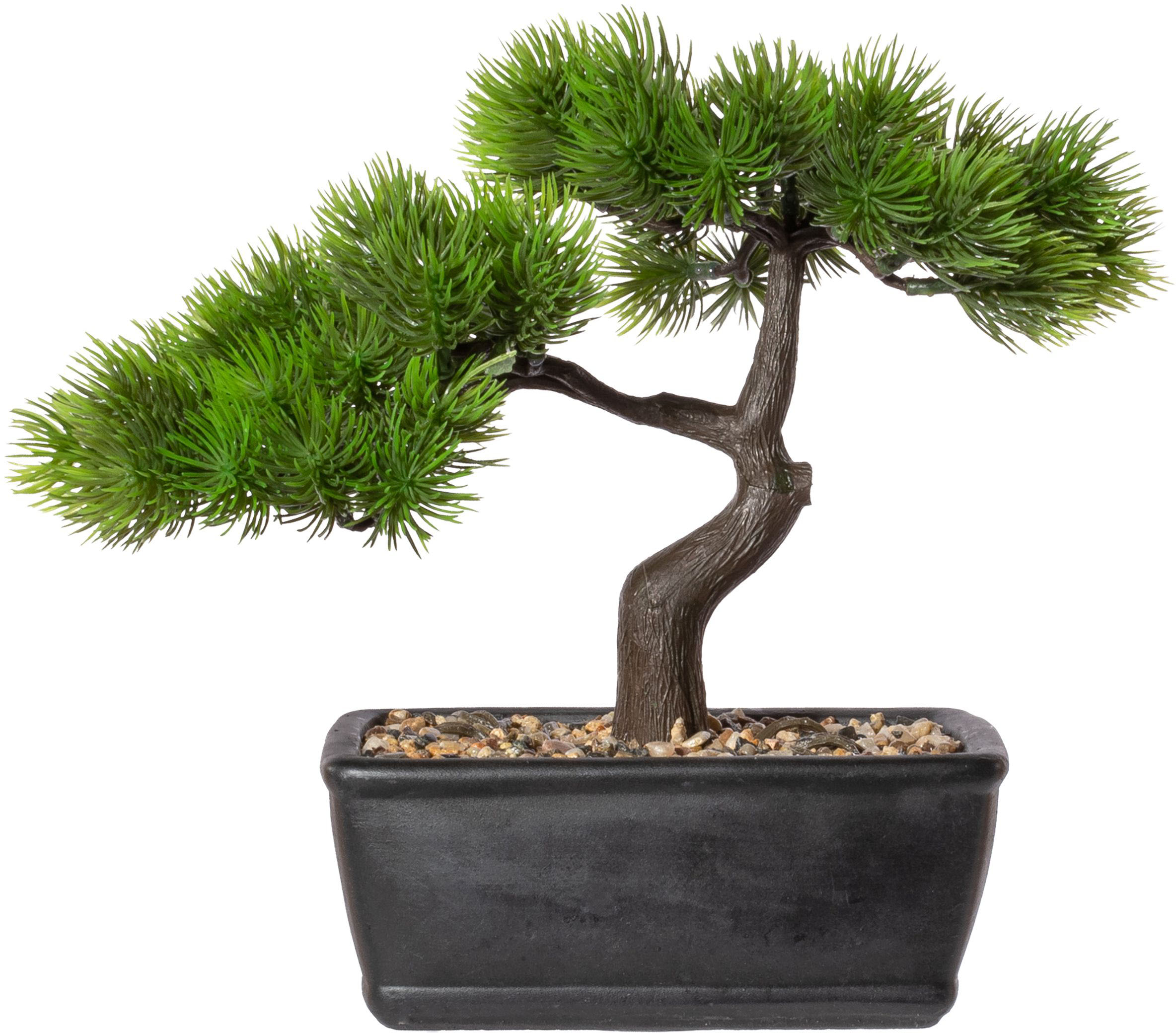 Kunstbonsai »Bonsai Lärche«, im dekorativen Topf