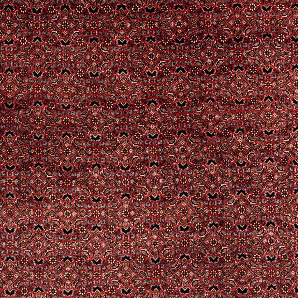 morgenland Orientteppich »Perser - Bidjar quadratisch - 200 x 197 cm - dunkelrot«, quadratisch