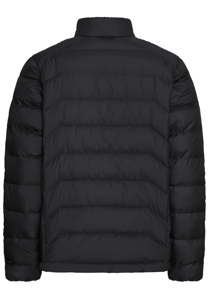 Jack Wolfskin Daunenjacke »WILD PASS DOWN JKT M RDS« Daunenjacke, warm, wind- und wasserabweisend