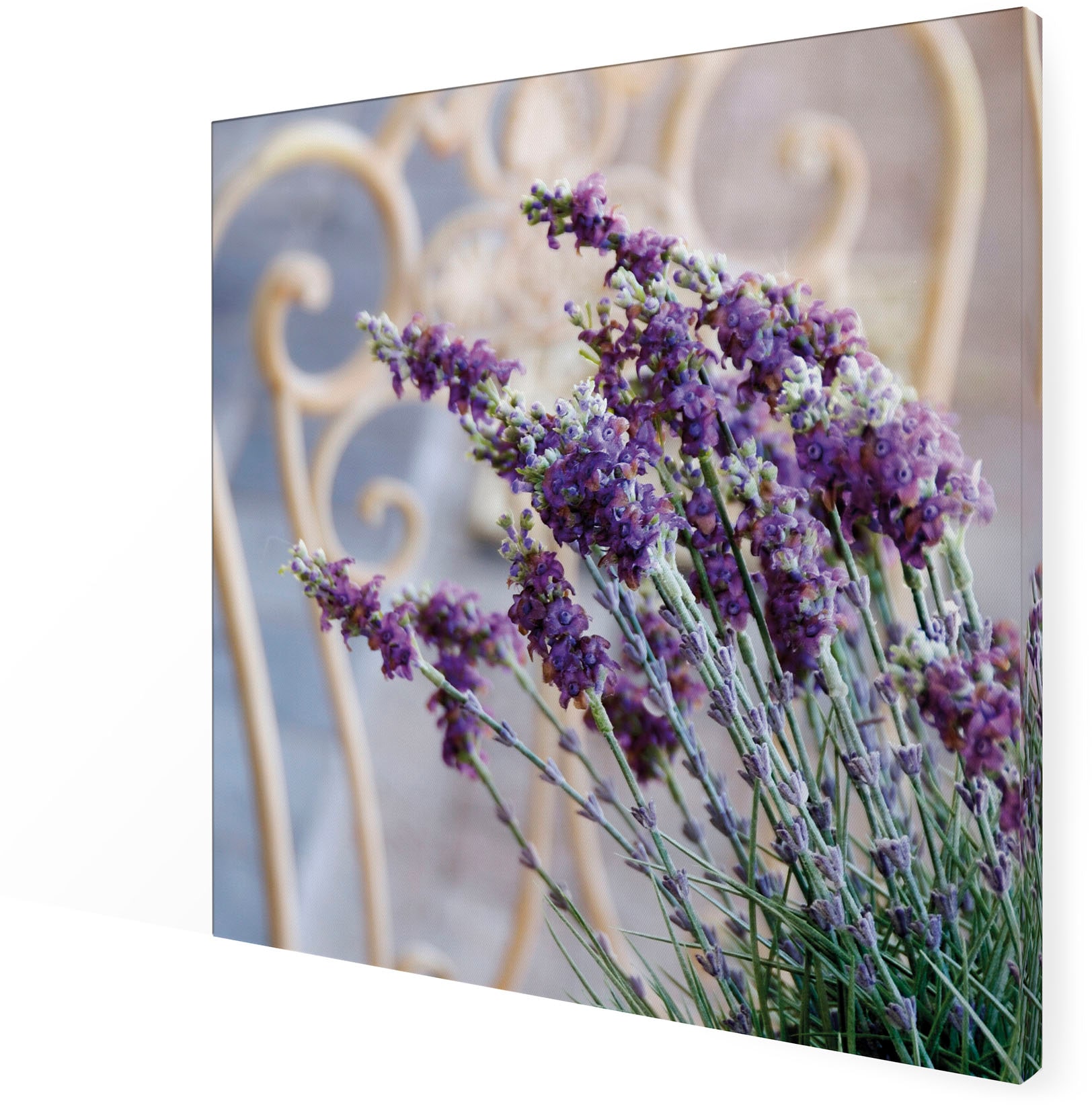 Art for the home Leinwandbild »Outdoor Lovely 50x50cm«, (1 St.)