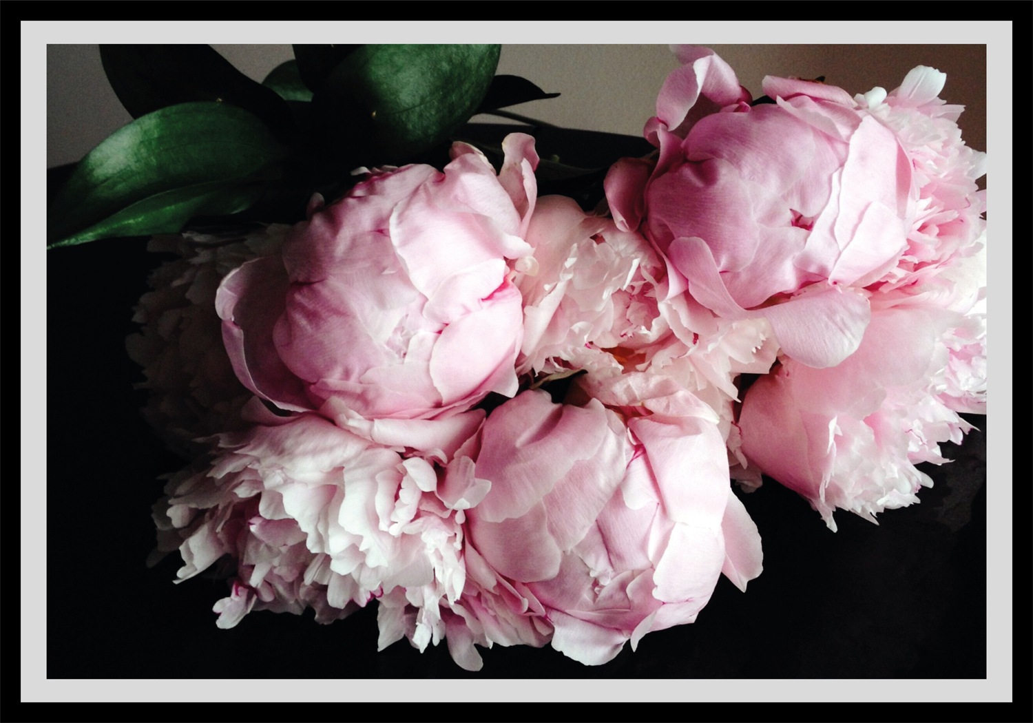 queence Bild »Gunni«, Blumen, gerahmt, Rosen