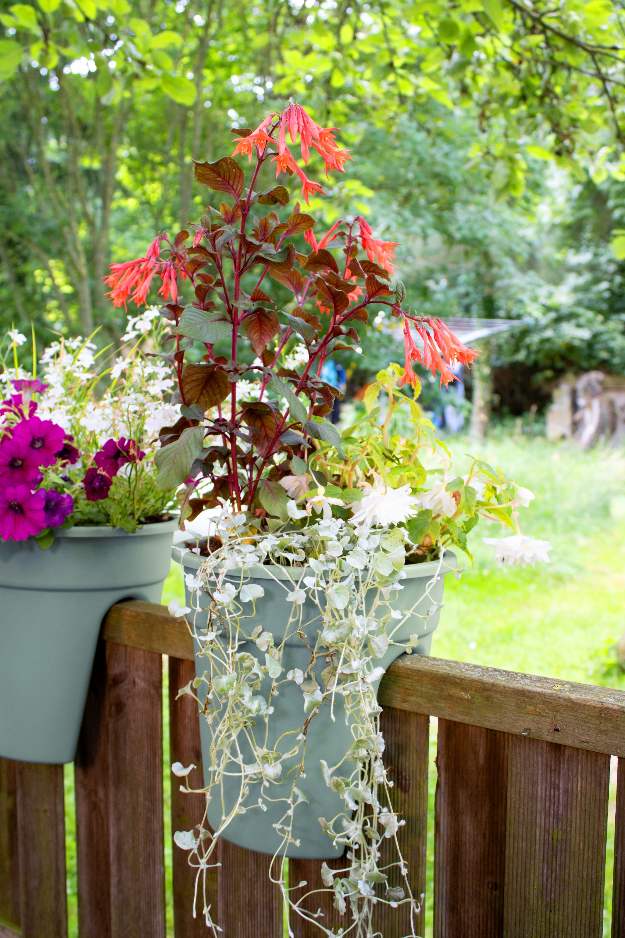 KHW Balkonkasten »Flowerclip«, (Set, 3 St.), ØxH: 27x27,5 cm