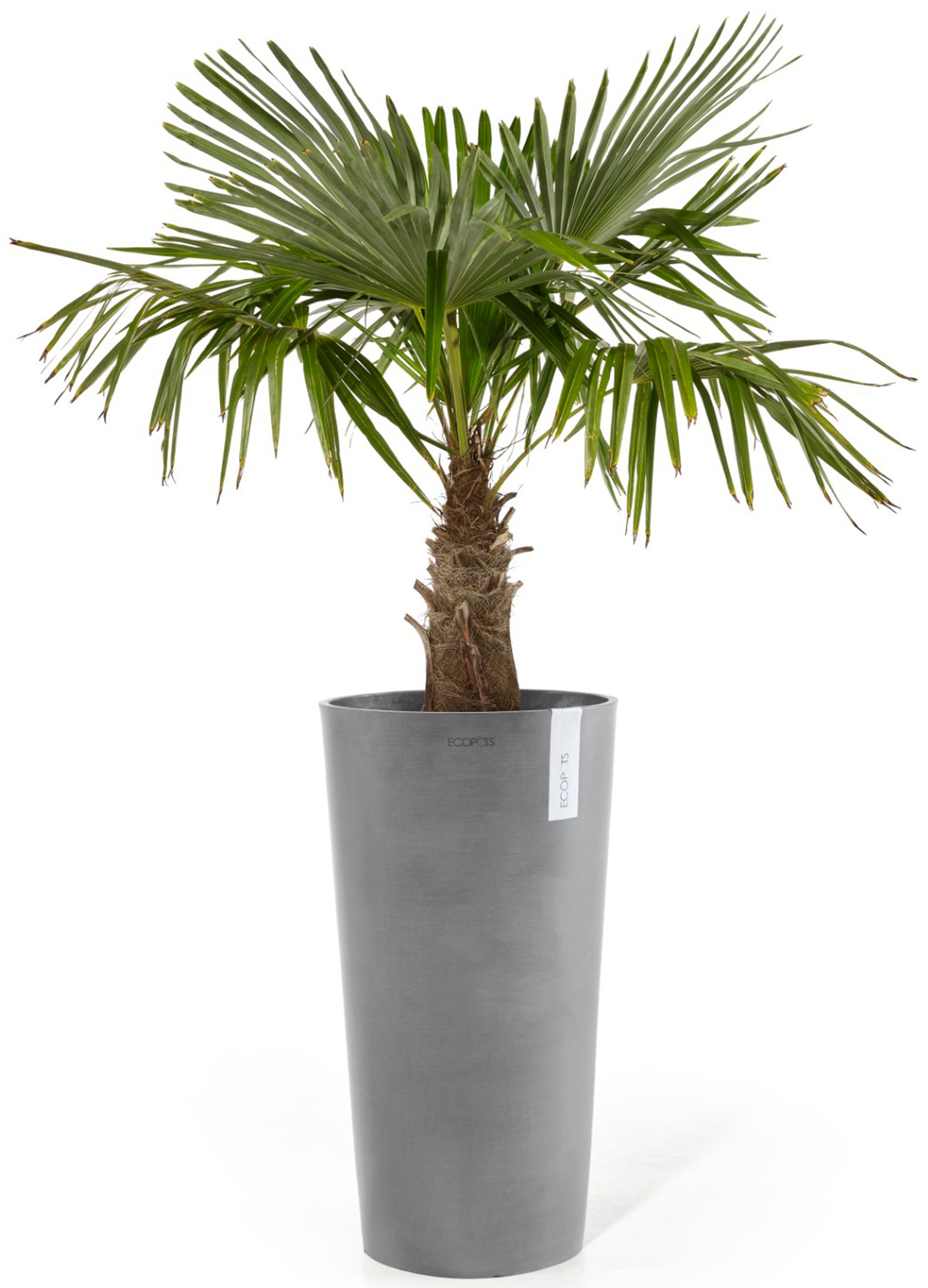 ECOPOTS Blumentopf »Amsterdam extrahoch 90 Grau«, für innen und außen: frostsicher, bruchsicher und lichtbeständig