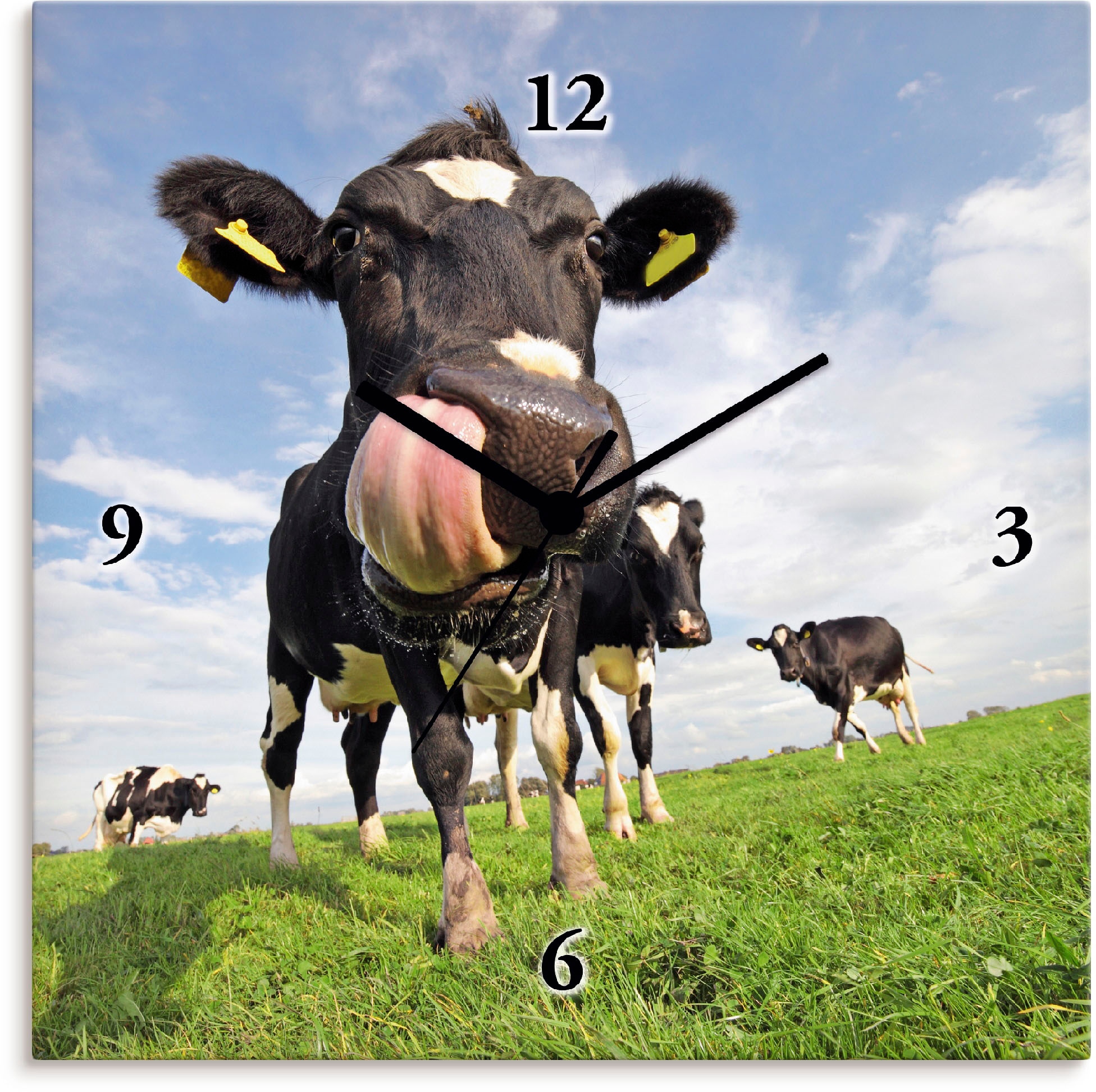 Artland Wanduhr "Holstein-Kuh mit gewaltiger Zunge", wahlweise mit Quarz- oder Funkuhrwerk, lautlos ohne Tickgeräusche