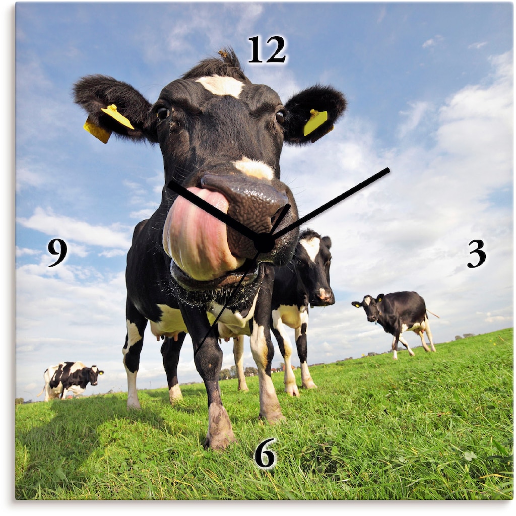 Artland Wanduhr »Holstein-Kuh mit gewaltiger Zunge«