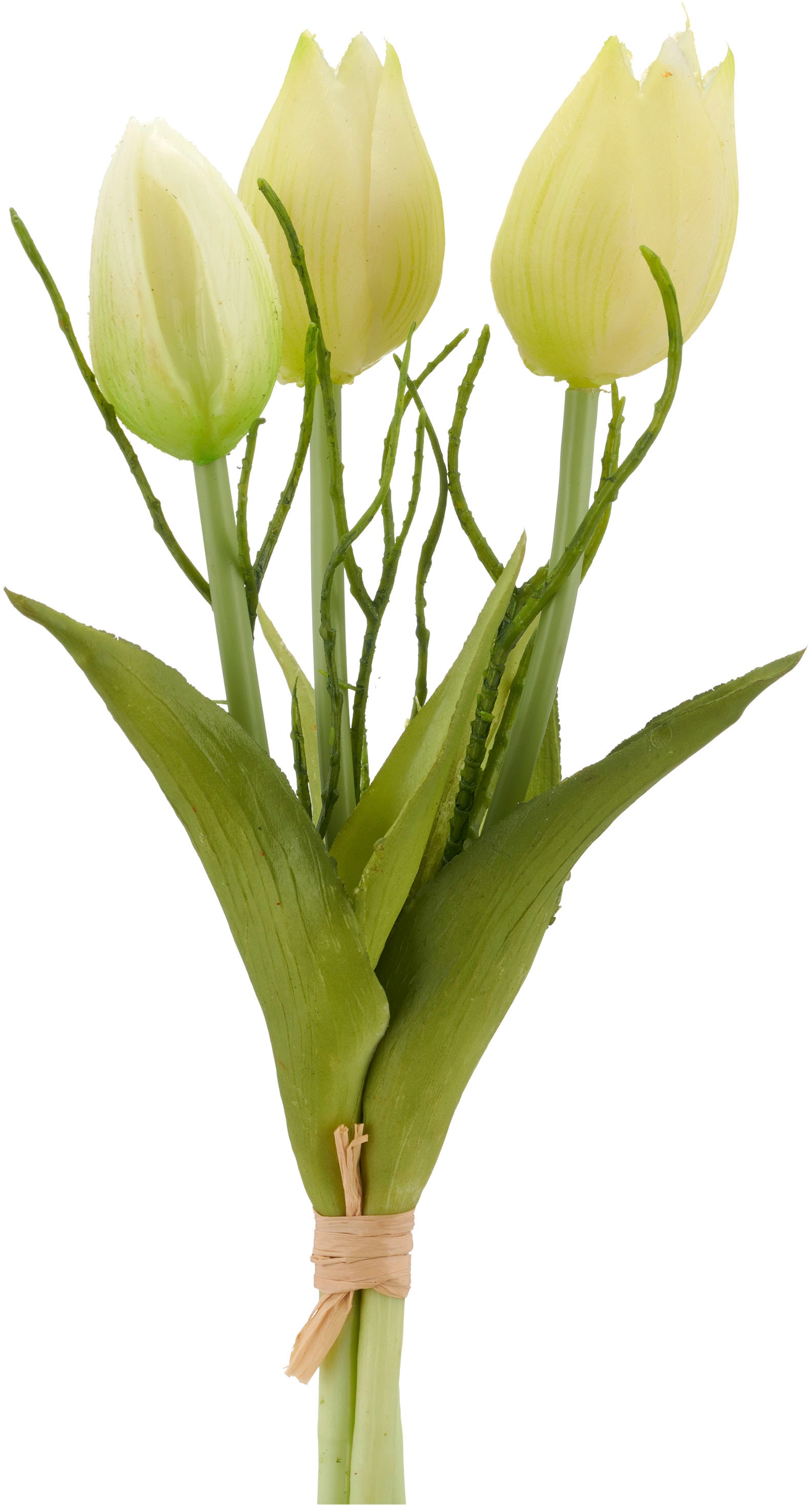 Creativ green Kunsttulpe »Tulpenbund« mit Zweigen