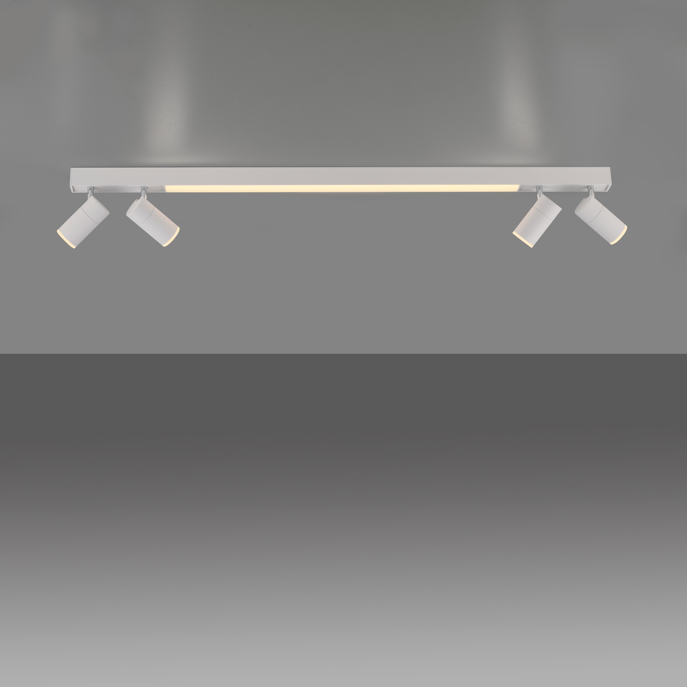 Neuhaus PURE LED Deckenleuchte »PURE Lines Spot« LED-Board 1 Stk. warmweiß - kaltweiß Spots dreh- &schwenkbar, CCT, dimmbar, Fernbedienung