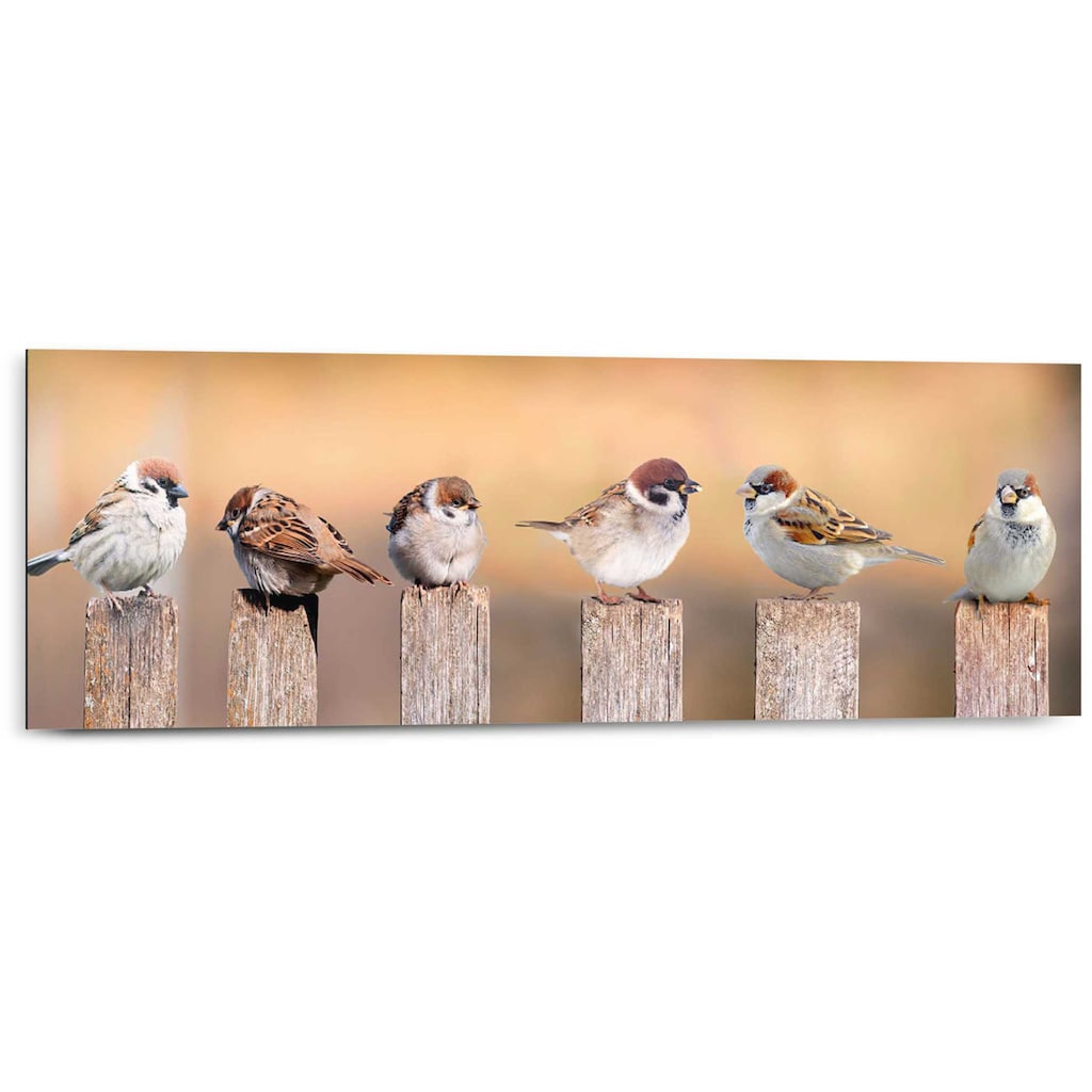 Reinders! Holzbild »Deco Panel 30x90 Bird Family«