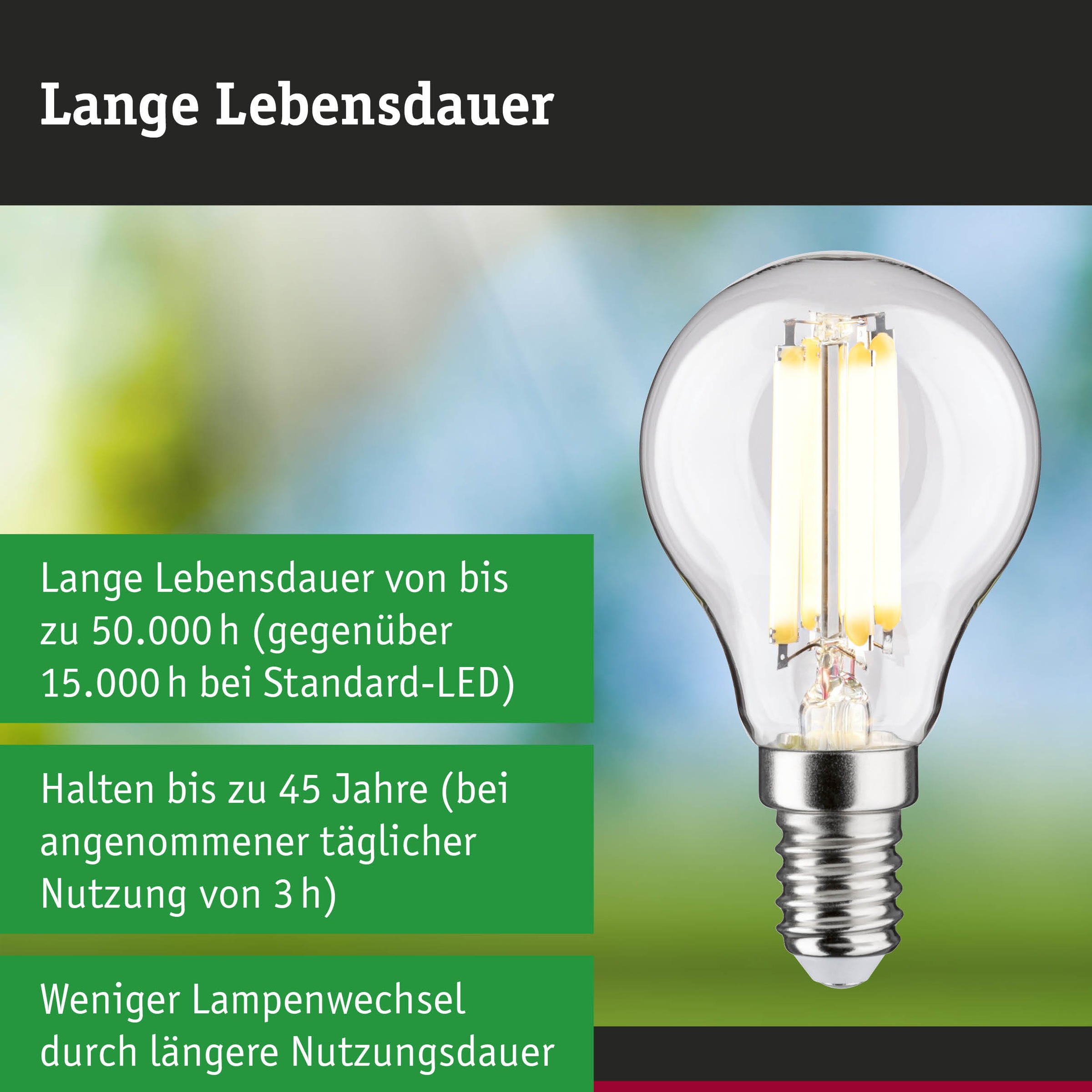 Paulmann LED-Leuchtmittel »Efficient-Line Filament 230V LEDTropfen E14 1St. 525lm 2,5W 3000K Klar« E14 1 Stk. Warmweiß