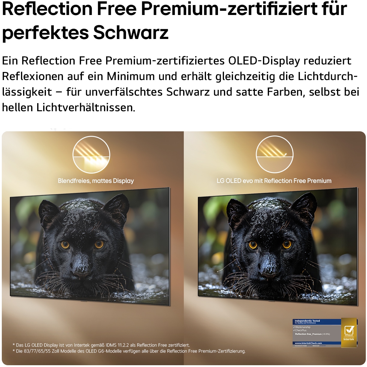 LG OLED-Fernseher »OLED77G67LW« 195 cm/77 ″ Smart-TV