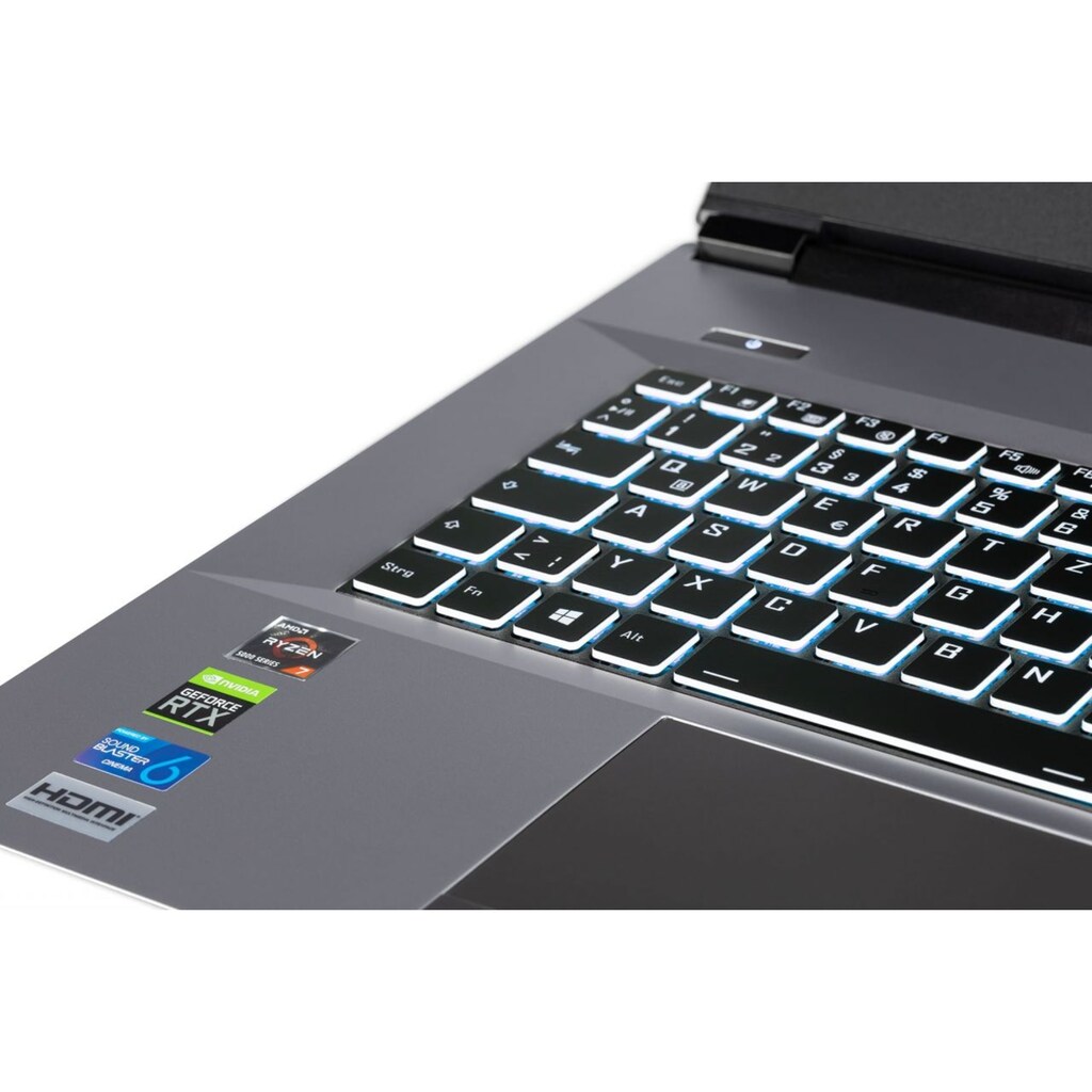 CAPTIVA Gaming-Notebook »Advanced Gaming I63-991«, 43,9 cm, / 17,3 Zoll, Intel, Core i5, GeForce GTX 1650, 1000 GB SSD