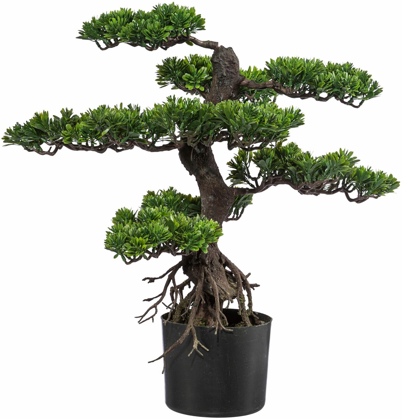 Creativ green Kunstbonsai "Bonsai" günstig online kaufen