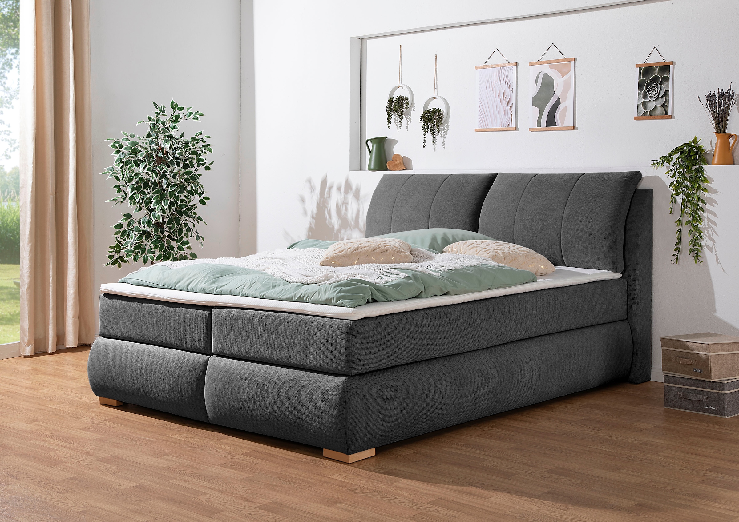 Boxspringbett HOME AFFAIRE, B:212cm L:222cm, grau, Komplettbetten, "Breitenthal", abnehmbare Rückenkissen mit Klettband