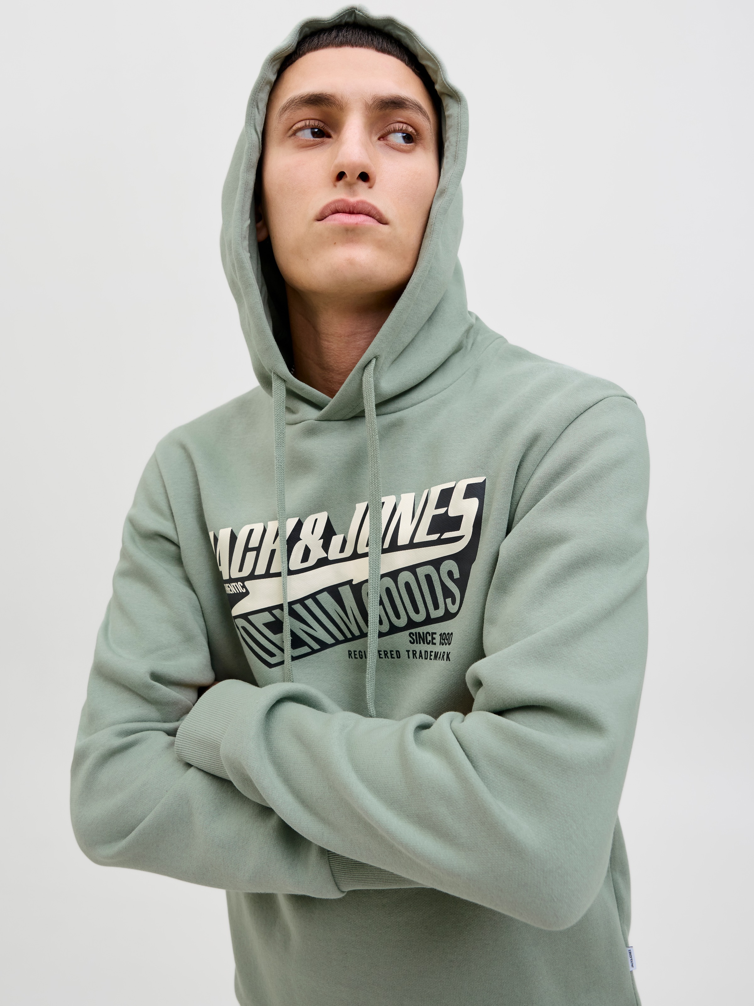 Jack & Jones Kapuzensweatshirt JJELOGO SWEAT günstig online kaufen