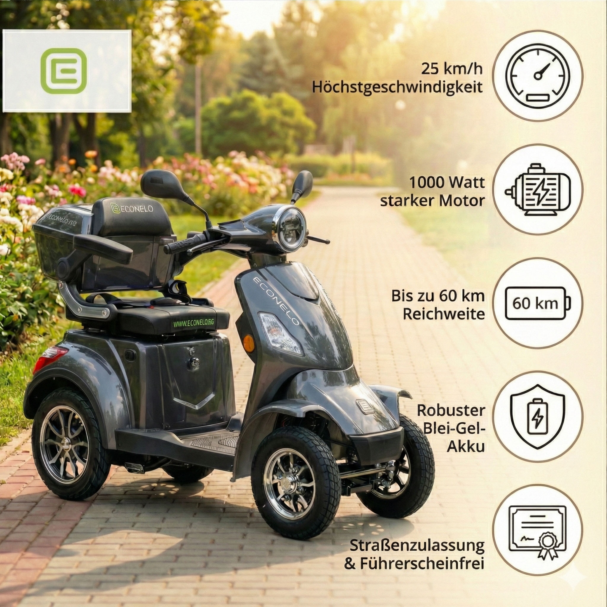 ECONELO Elektromobil »Seniorenmobil P4000, Blei-Akku, 25 km/h, 1000 Watt« 1.000 W 25 km/h