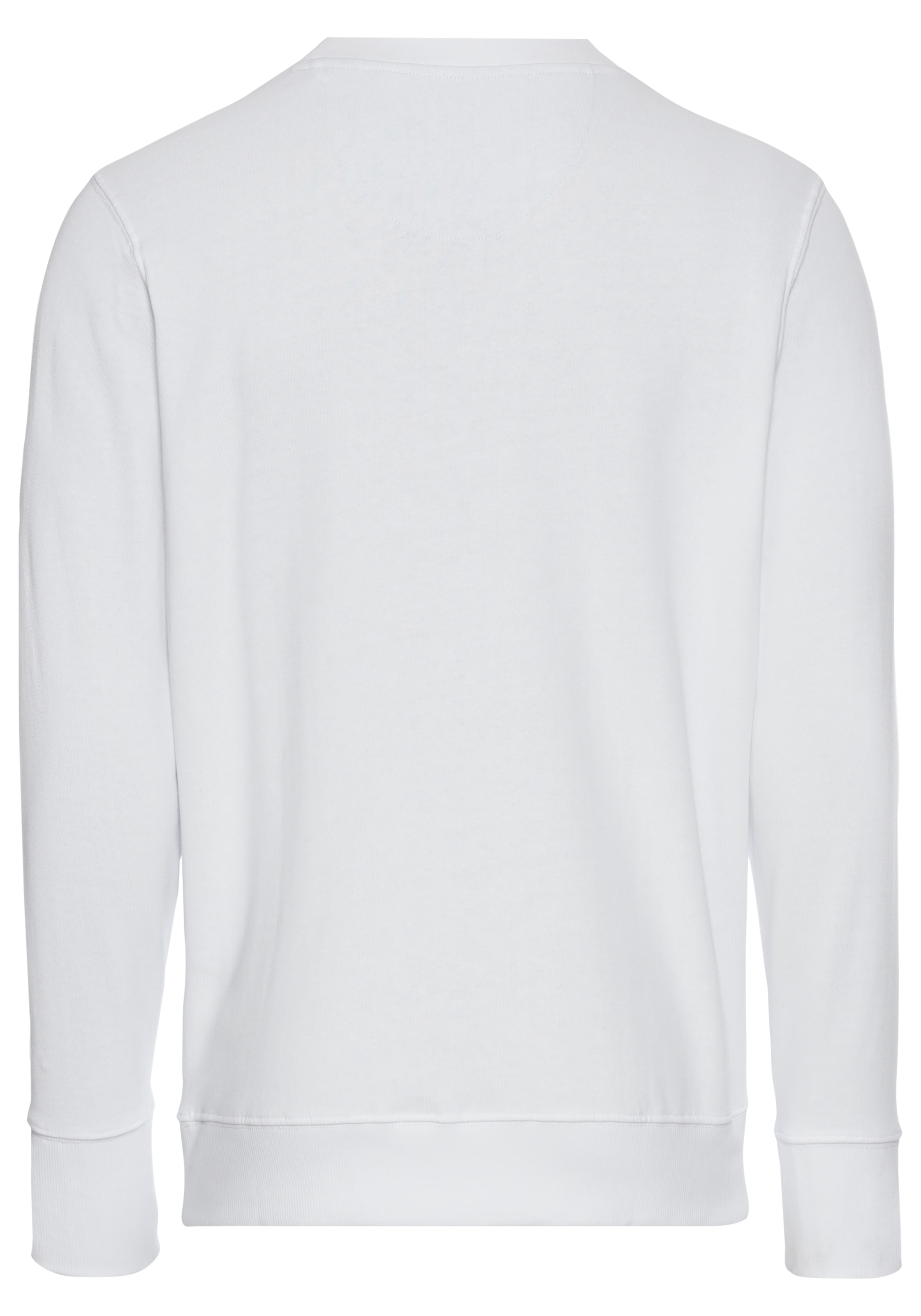 DELMAO Sweatshirt, Langarm, Regular Fit, unifarben, Basic-Stil