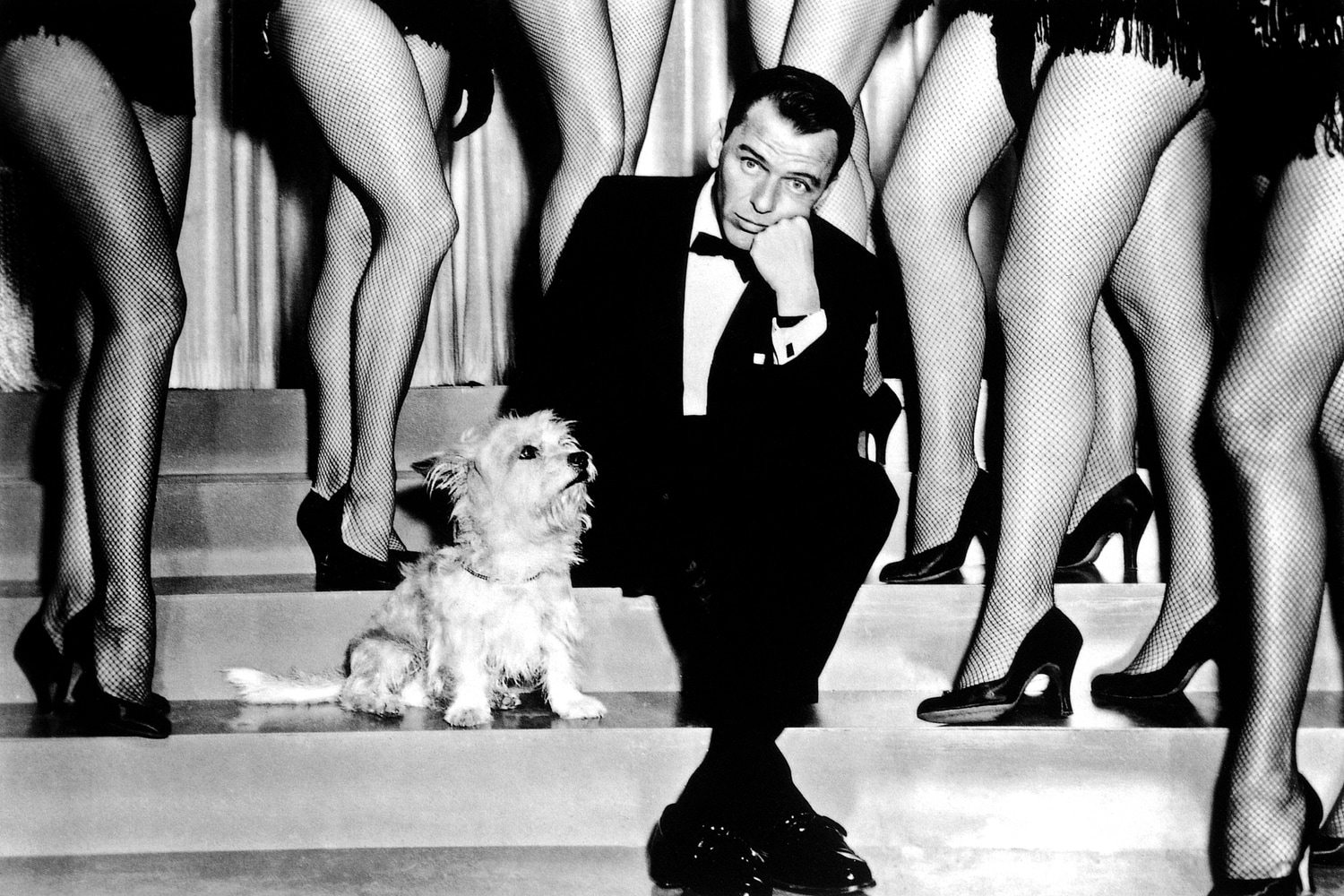 queence Acrylglasbild »Frank Sinatra«, Schwarz-Weiß-Mann-Stars-Hund-Portrait-Foto-Film-Filmfiguren-Filmszene, Fine Art-Print in Galeriequalität