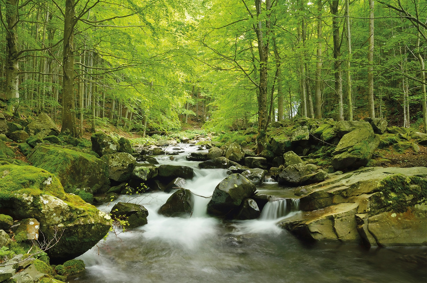 Papermoon Fototapete "Soft Water Stream" glatt