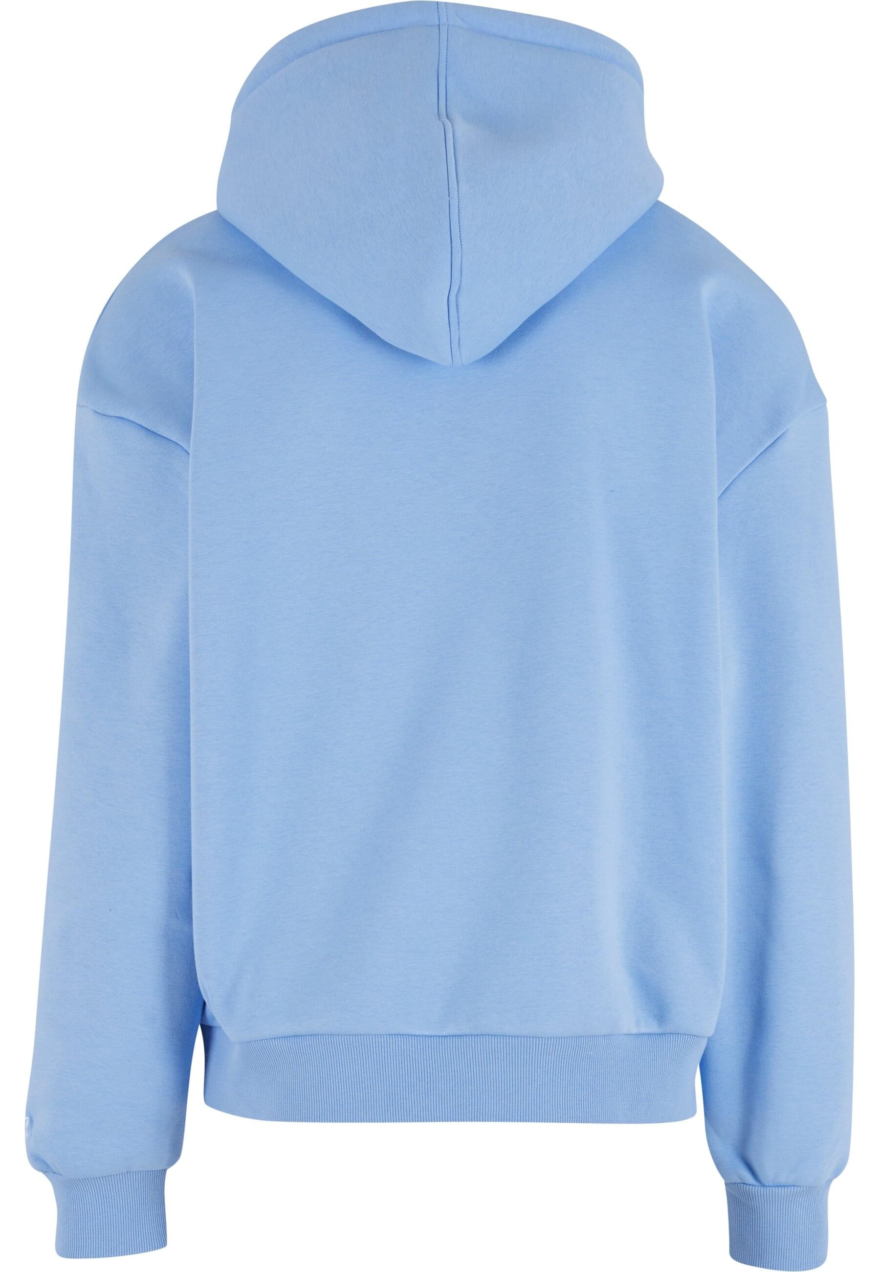 Starter Black Label Kapuzensweatshirt »Starter Black Label Starter Oversized Logo Hoodie« 1 Stk. tlg.