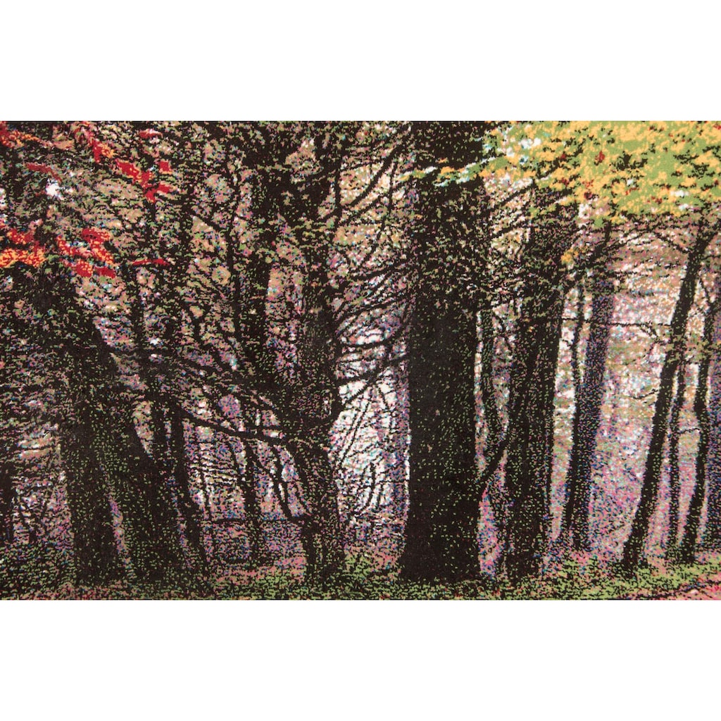 morgenland Wandteppich »Bild-Teppich Figurativ 110 x 63 cm«, rechteckig