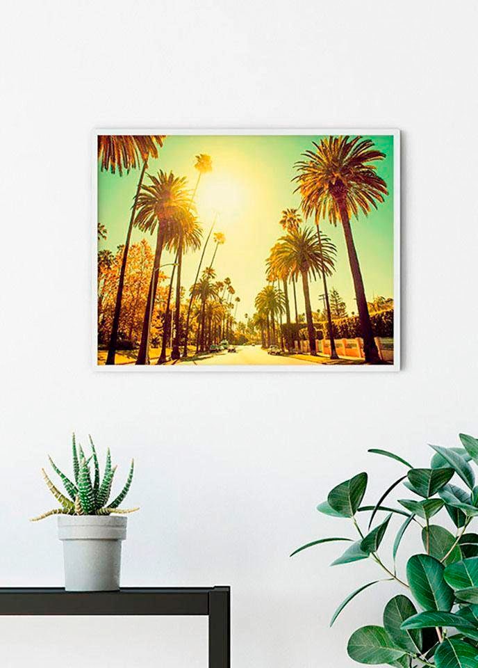 Komar Poster »Palm Alley«, Städte, (1 St.), Kinderzimmer, Schlafzimmer, Wohnzimmer