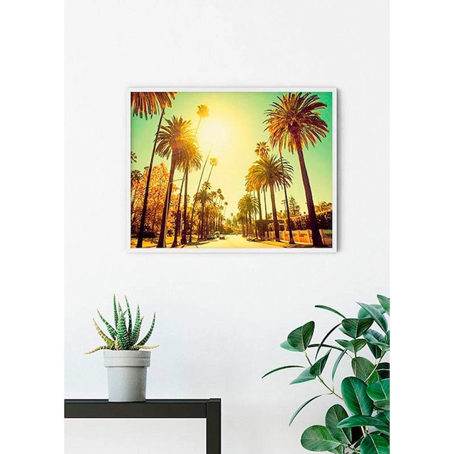 Komar Poster »Palm Alley«, Städte, (1 St.), Kinderzimmer, Schlafzimmer,  Wohnzimmer | BAUR