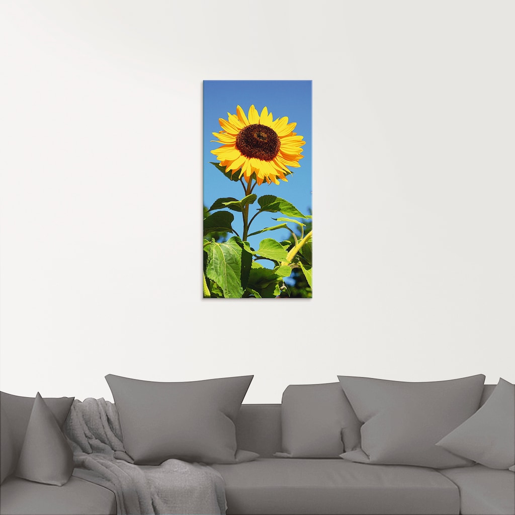 Artland Glasbild »Große Sonnenblume«, Blumen, (1 St.)