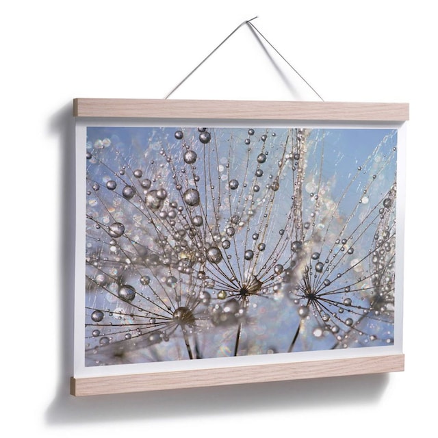 Wall-Art Poster »Wassertropfen Pusteblume«, Blumen, (1 St.) bestellen | BAUR