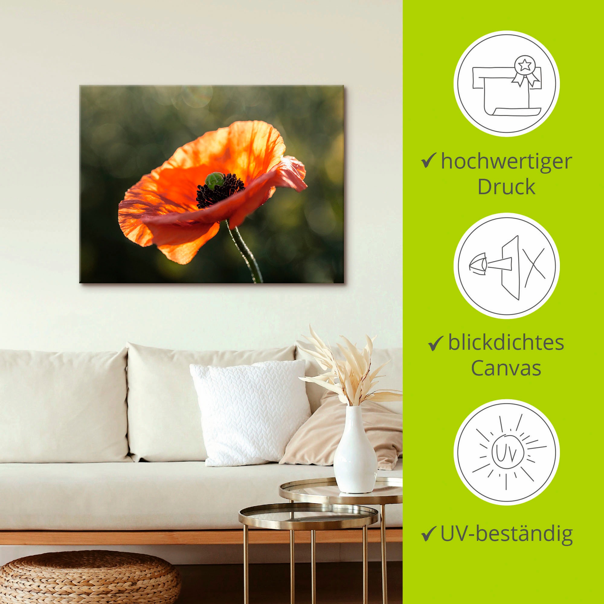 Artland Wandbild »Mohnblüte I«, Blumen, (1 St.), als Leinwandbild, Poster in verschied. Größen