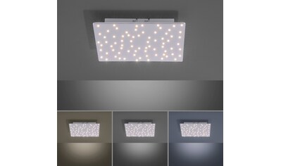 Leuchten Direkt LED Deckenleuchte »SPARKLE«, LED-Board, 1 St., warmweiß - kaltweiß,... kaufen