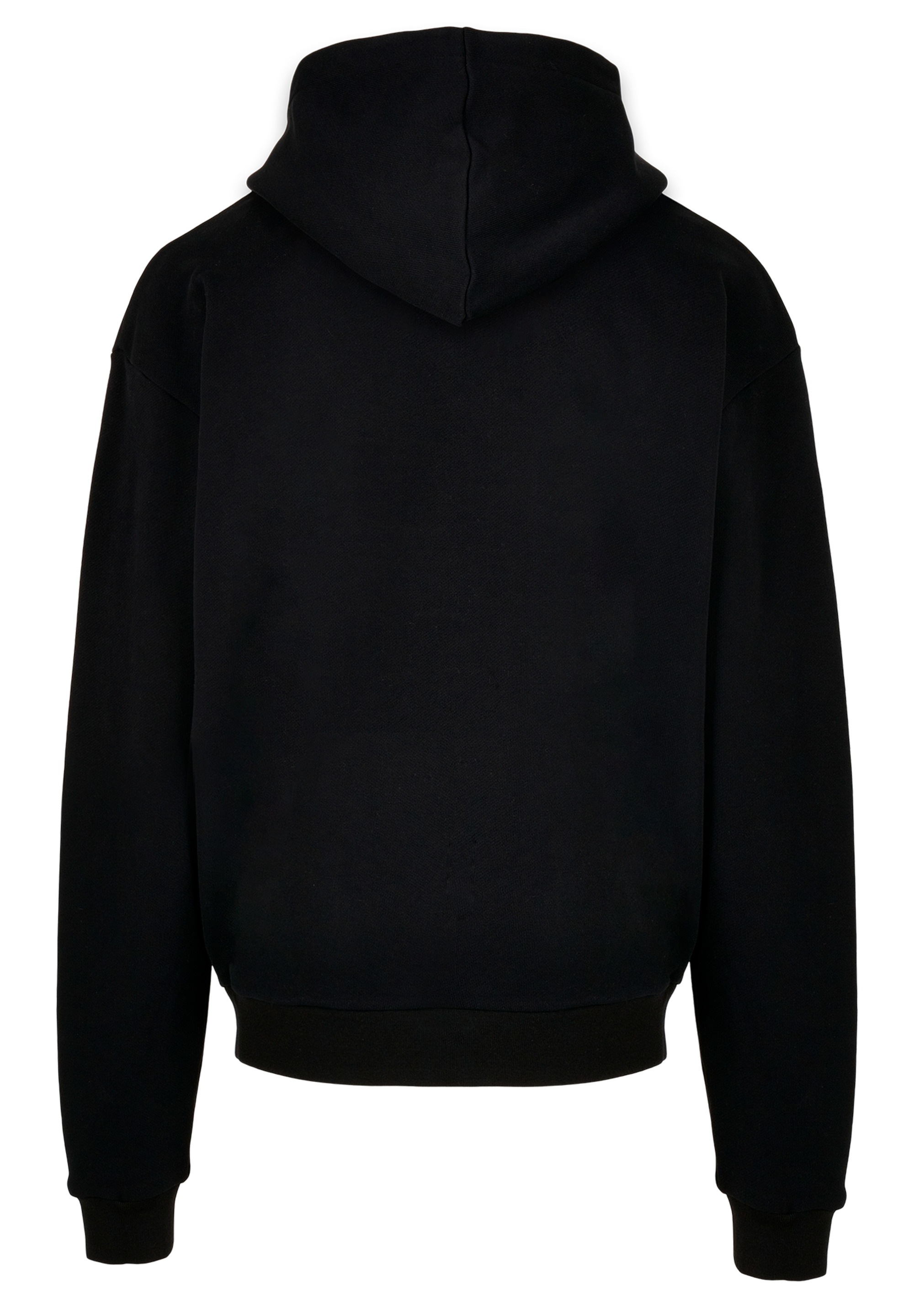 F4NT4STIC Sweatshirt »F4NT4STIC Herren«, (1 tlg.)