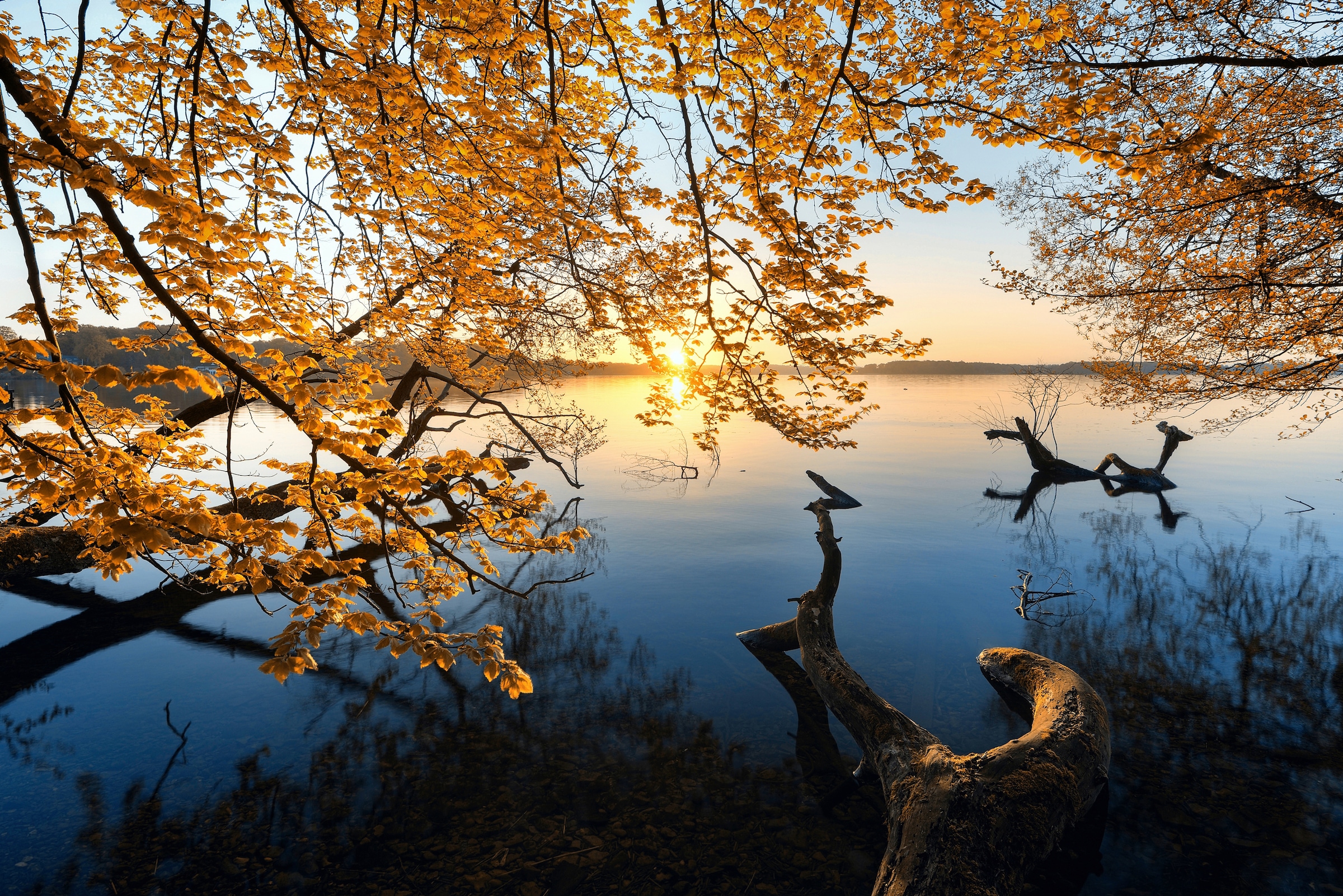 Papermoon Fototapete "Photo-Art KELLER, HERBSTMORGEN"