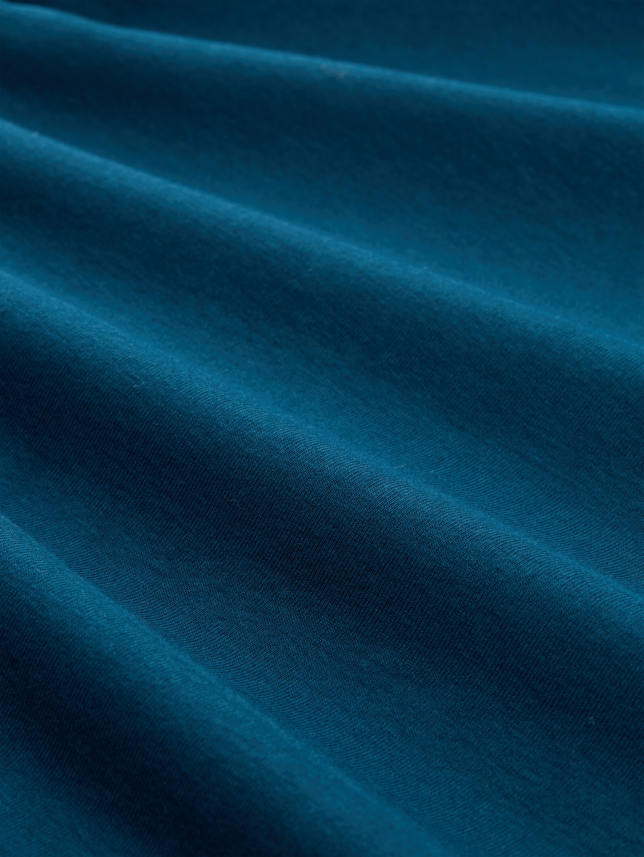 TOM TAILOR Rollkragenshirt mit Rollkragen