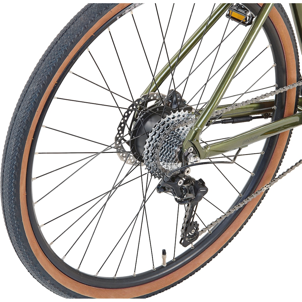 Prophete E-Bike »Graveler 1.0«, 8 Gang, Shimano, Heckmotor 250 W