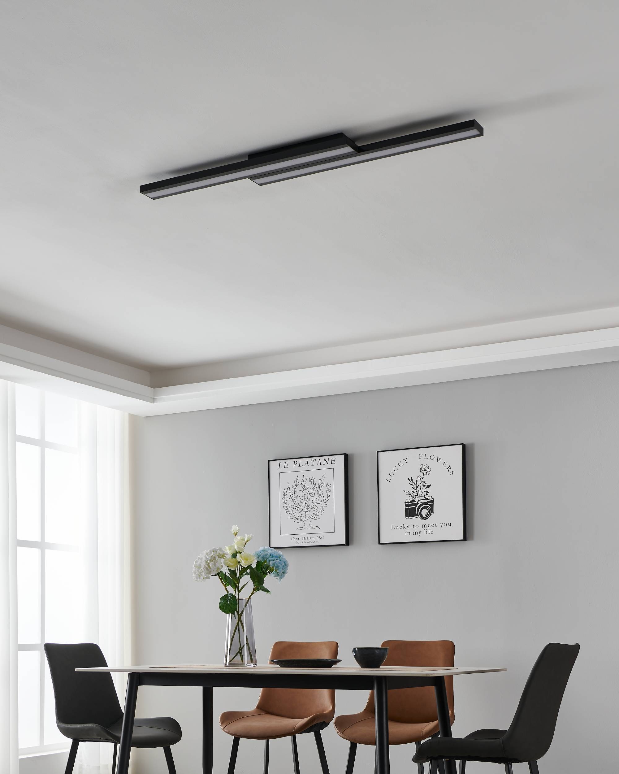 EGLO Deckenleuchte »SALITERAS-Z« in schwarz aus Stahl / inkl. LED fest integriert - 2 x 10,2 Watt