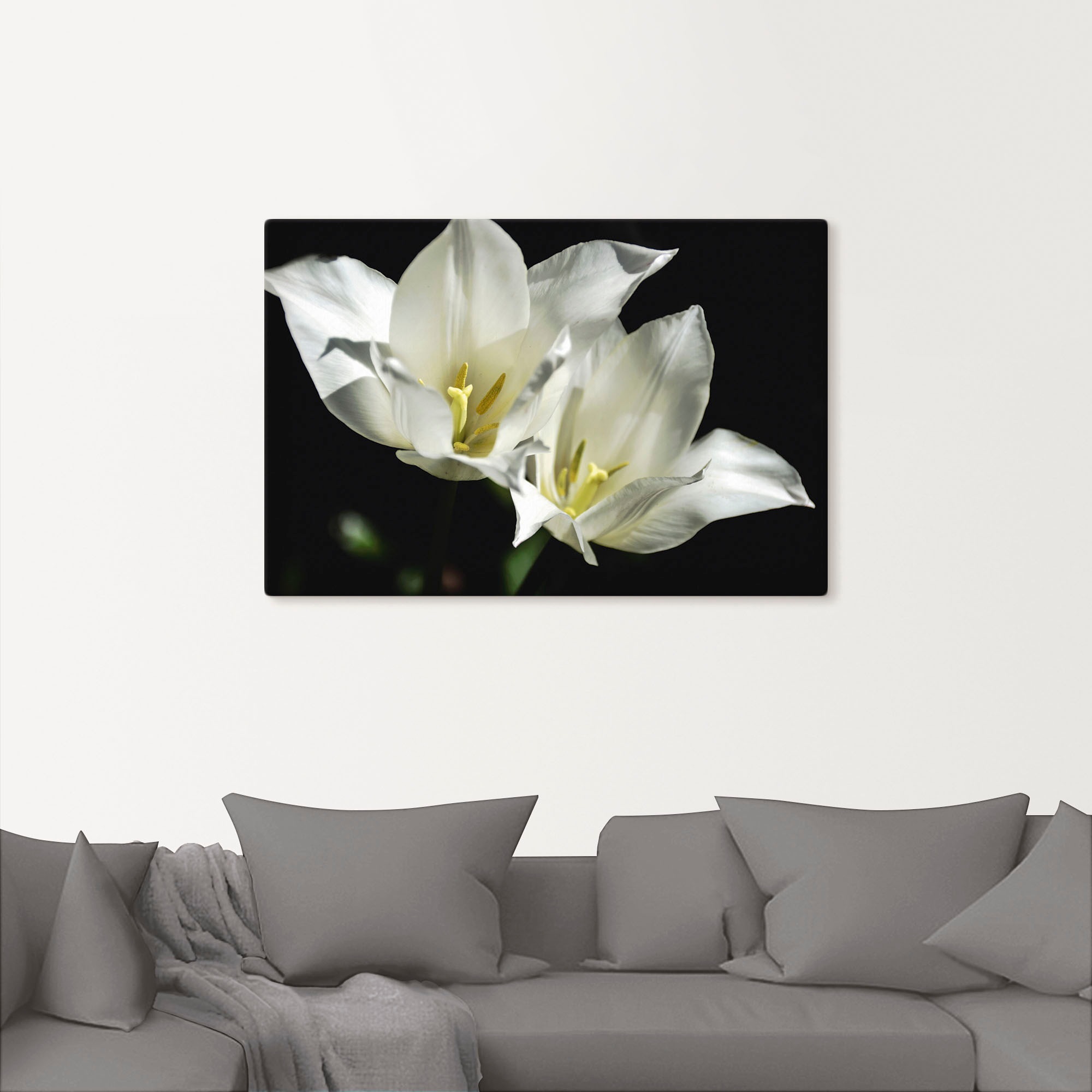 Wandaufkleber »Tulpen oder Alubild, Größen Blumenbilder, auf weiß in BAUR Leinwandbild, kaufen | Wandbild (1 Artland als schwarz«, St.), versch. Poster -