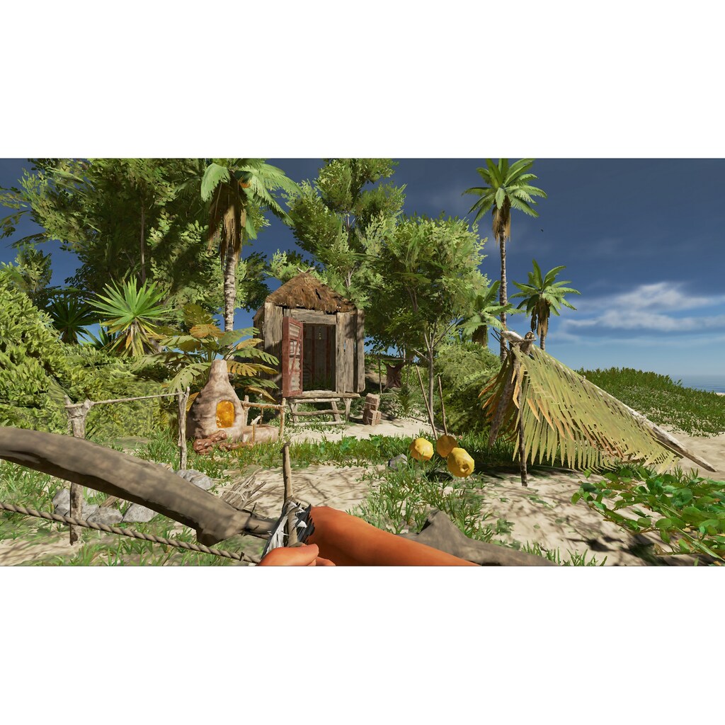 Spielesoftware »Stranded Deep«, Nintendo Switch