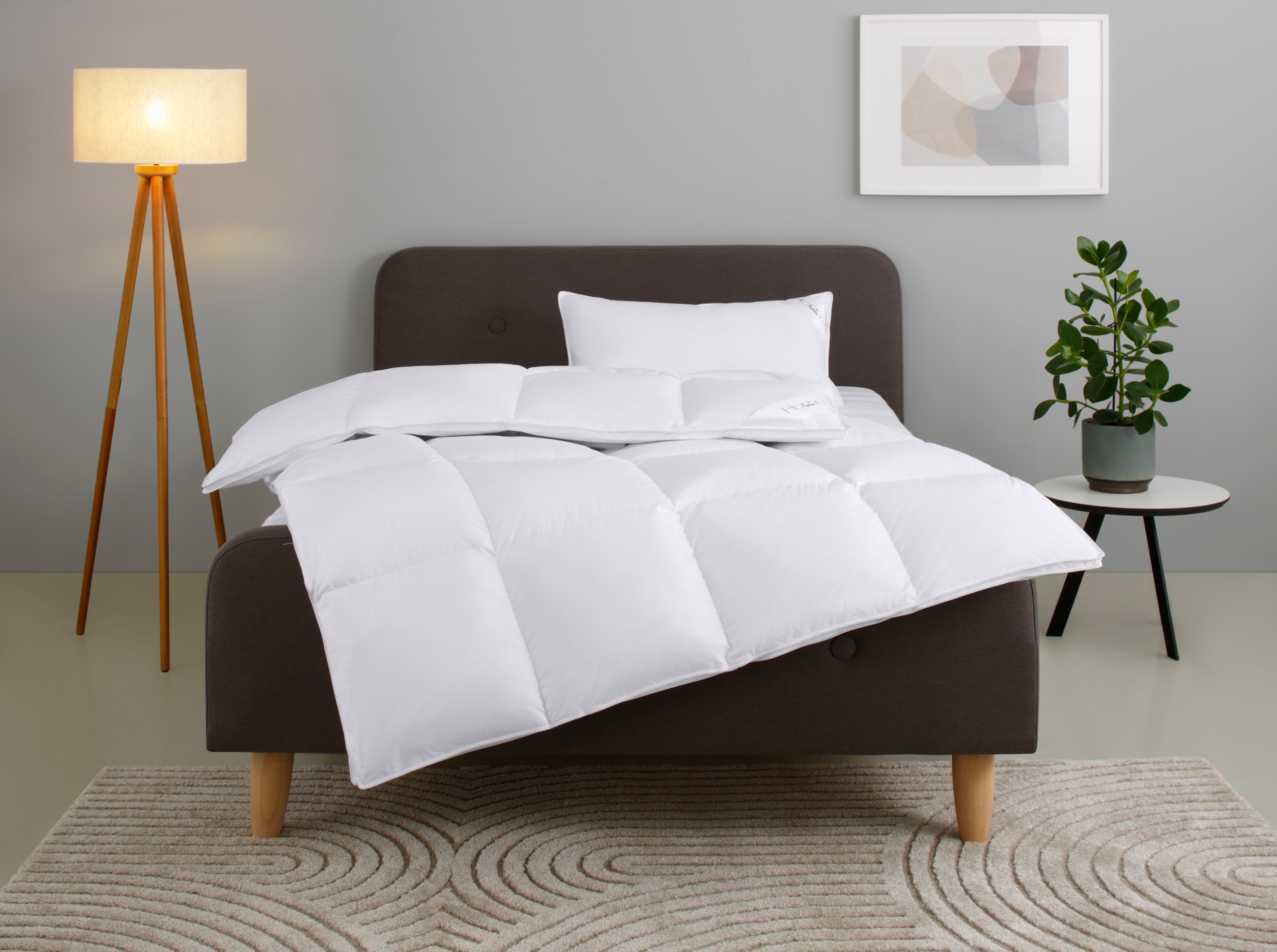 OTTO home Gänsedaunenbettdecke + Kopfkissen "Litrone Bettdecke 135x200 cm, 155 x220 cm" Set mit Kissen 40x80 cm, 80x80 cm, Frühling, Sommer, Herbst, Winter