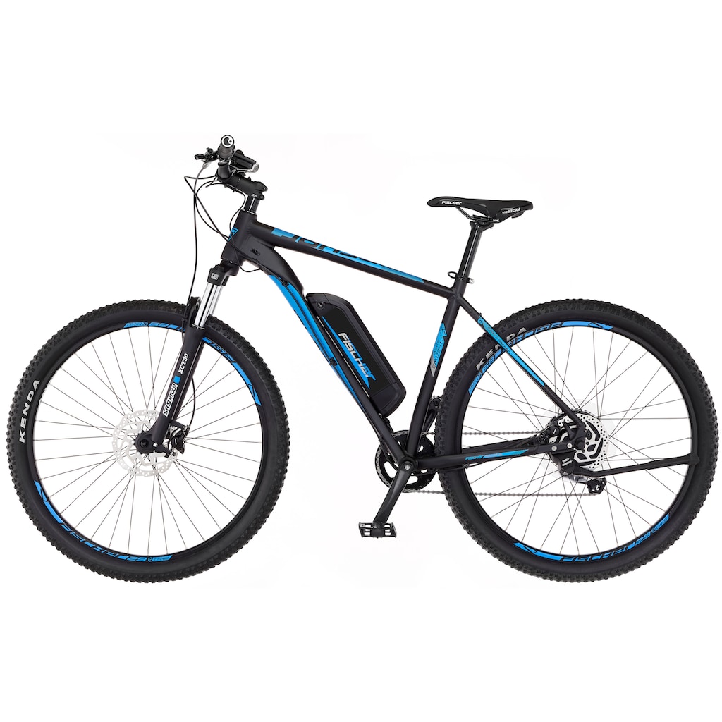 FISCHER Fahrrad E-Bike »MONTIS EM 1724.1«, 10 Gang