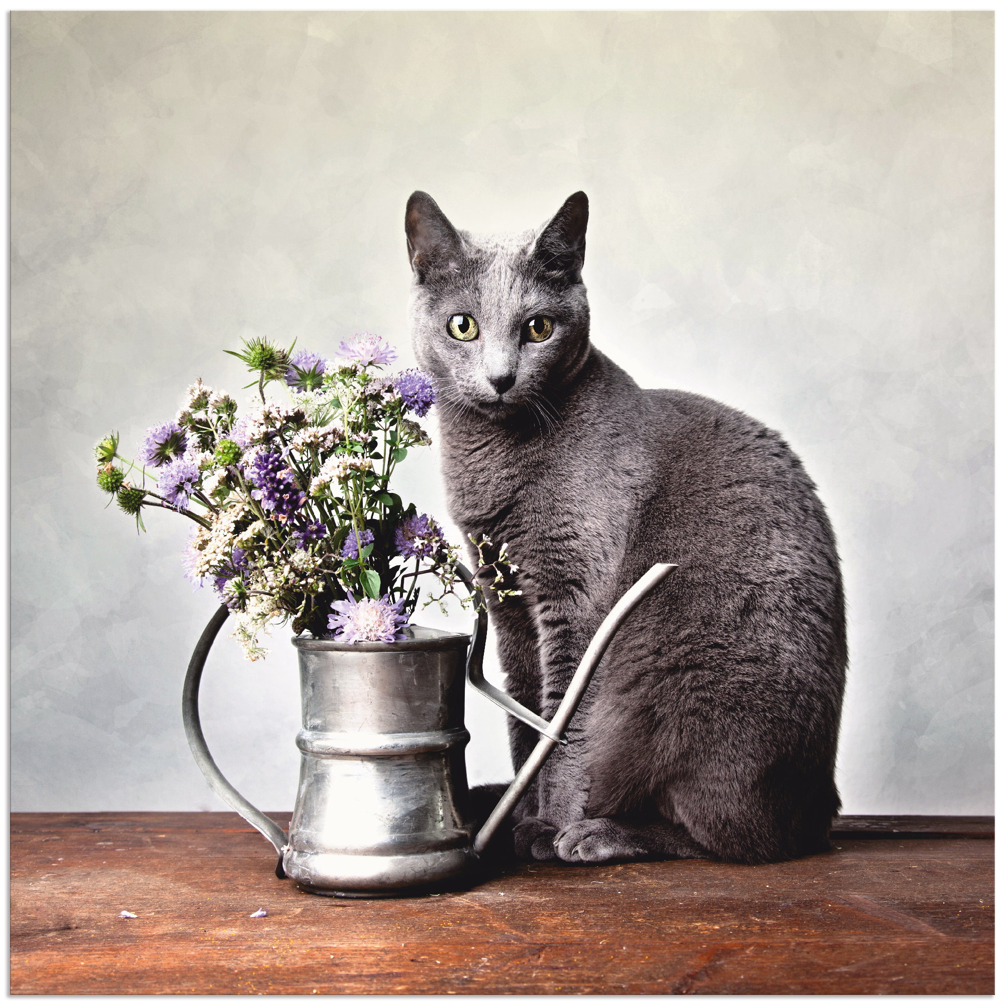 Artland Alu-Dibond-Druck "Katze mit Deko" Haustiere 1 Stk. tlg. für Innen- und Außenbereich geeignet, Outdoorbild