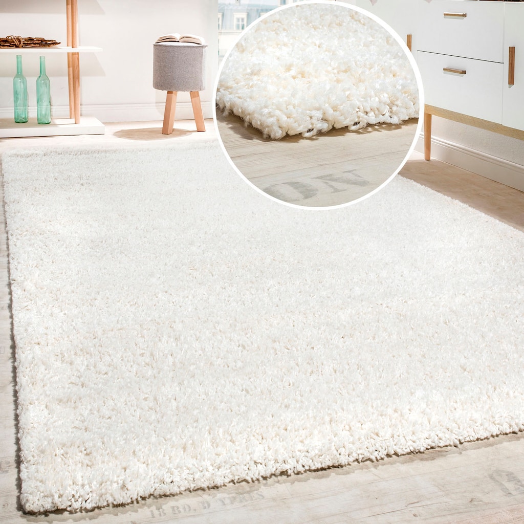 Paco Home Hochflor-Teppich »Sky 250«, rechteckig