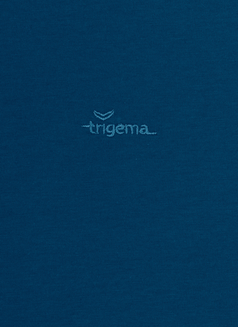 Trigema Pyjama »TRIGEMA Herren-Nachthemd aus Biobaumwolle (kbA)«, (1 tlg.)