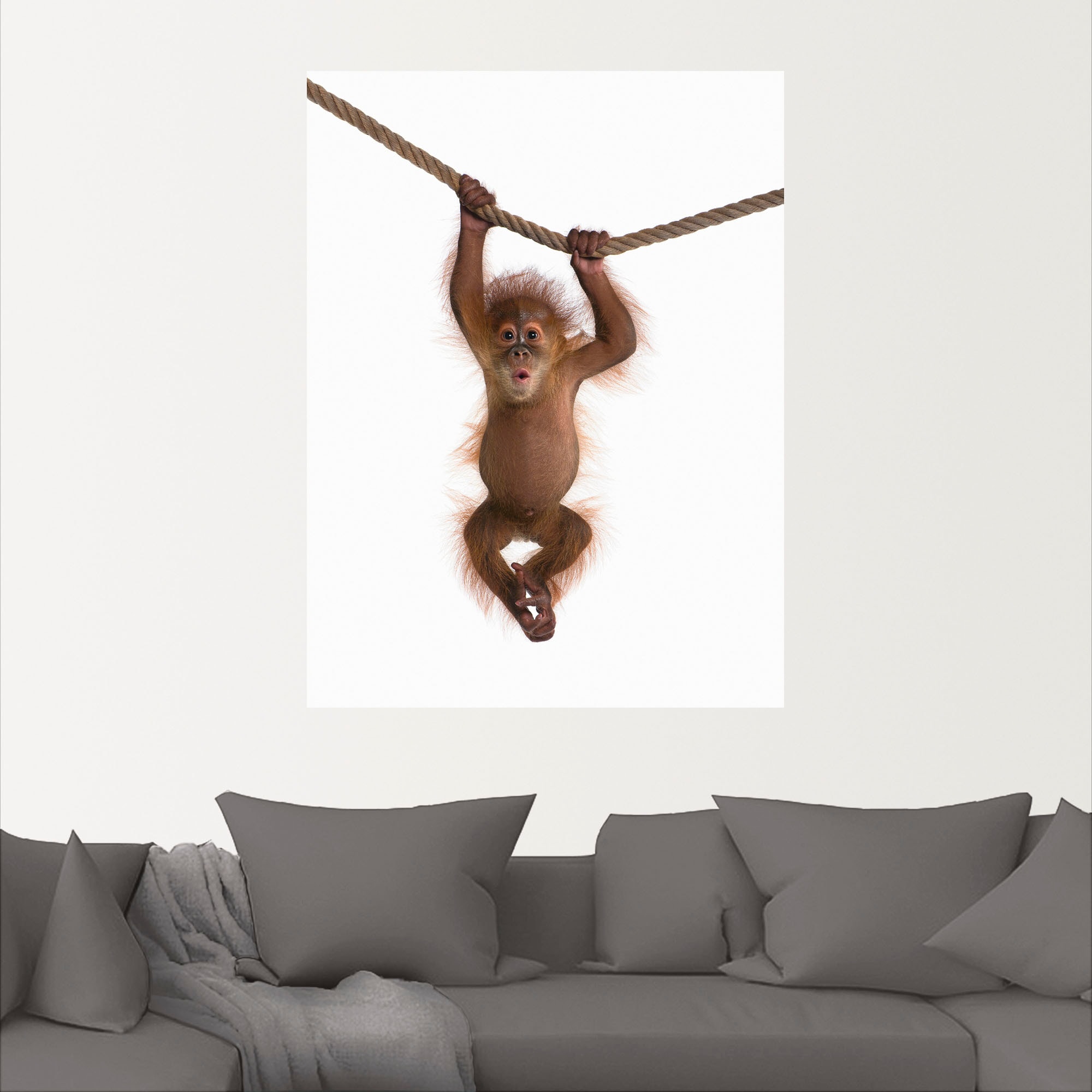 Artland Wandbild "Baby Orang Utan hängt an Seil II", Wildtiere, (1 St.), al günstig online kaufen