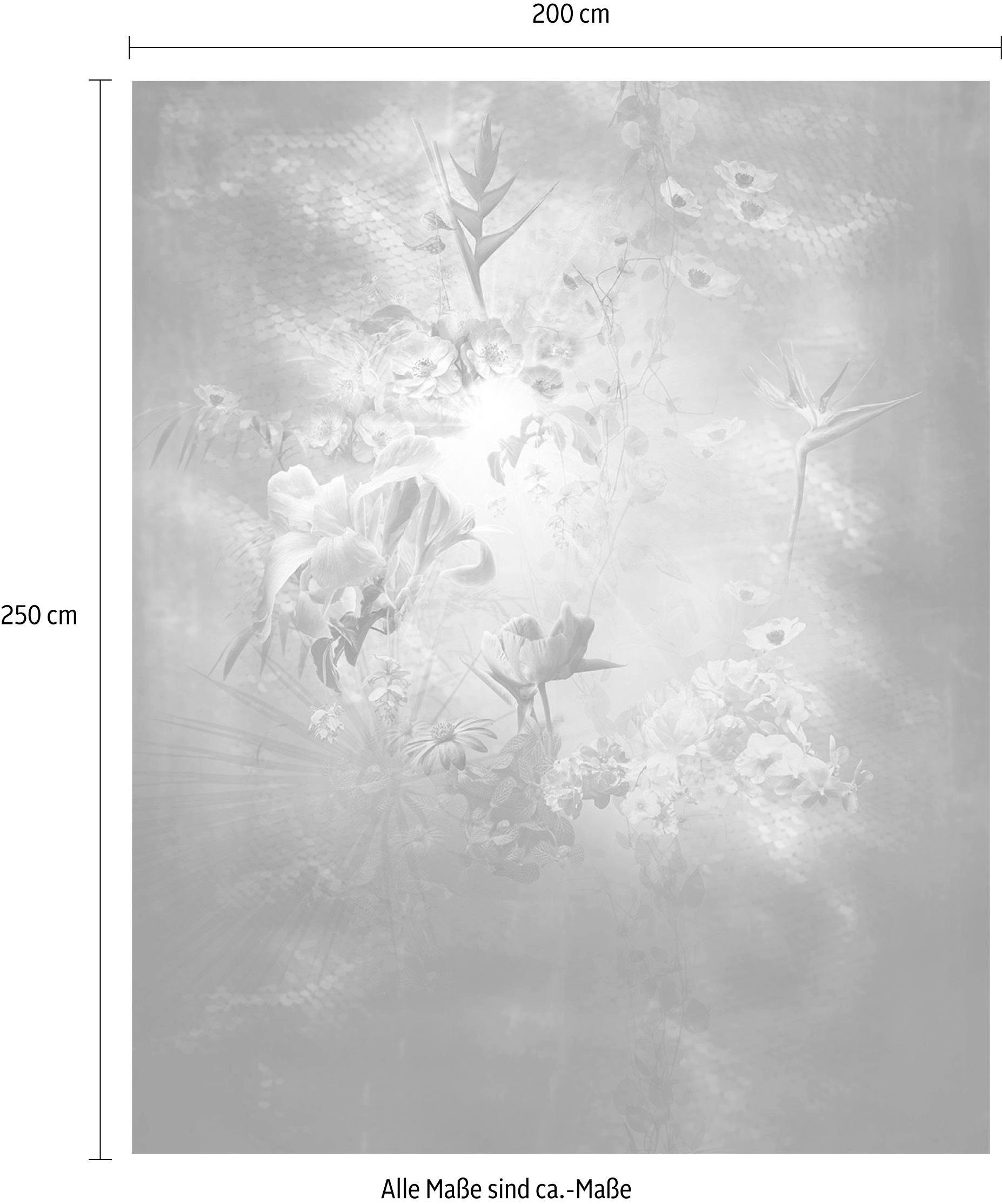 Komar Vliestapete »Digitaldruck Vlies - Enlightenment - Größe 200 x 250 cm«, bedruckt, Wohnzimmer, Schlafzimmer