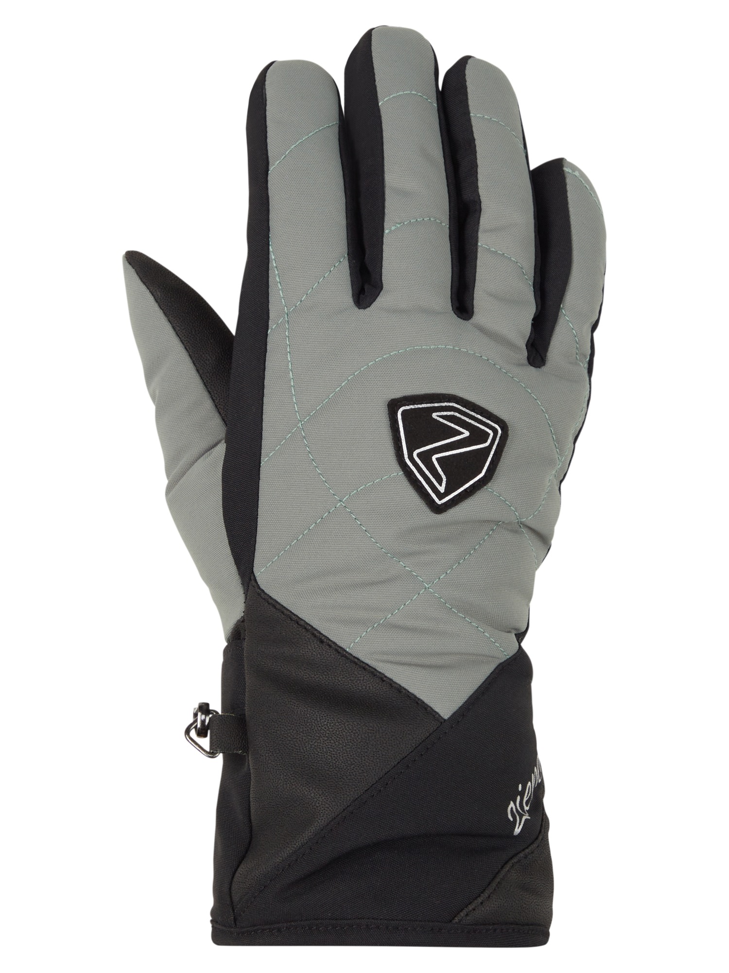 Ziener Skihandschuhe "KAMEA GTX" günstig online kaufen