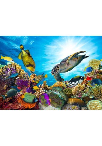 Papermoon Fototapetas »Coral Reef Fiji«