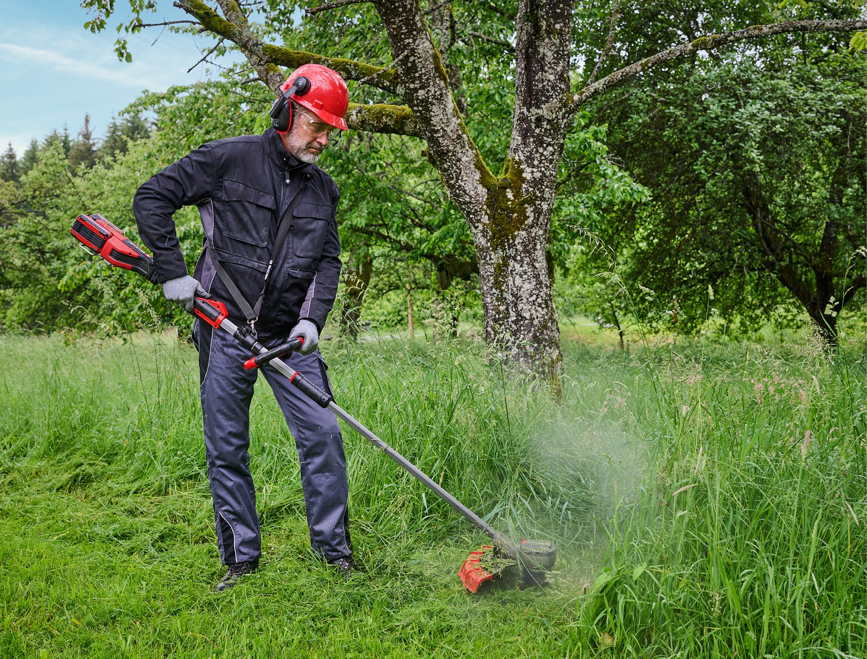 Einhell Akku-Motorsense »GP-BC 36/430 Li P BL-Solo«, ohne Akku und Ladegerät